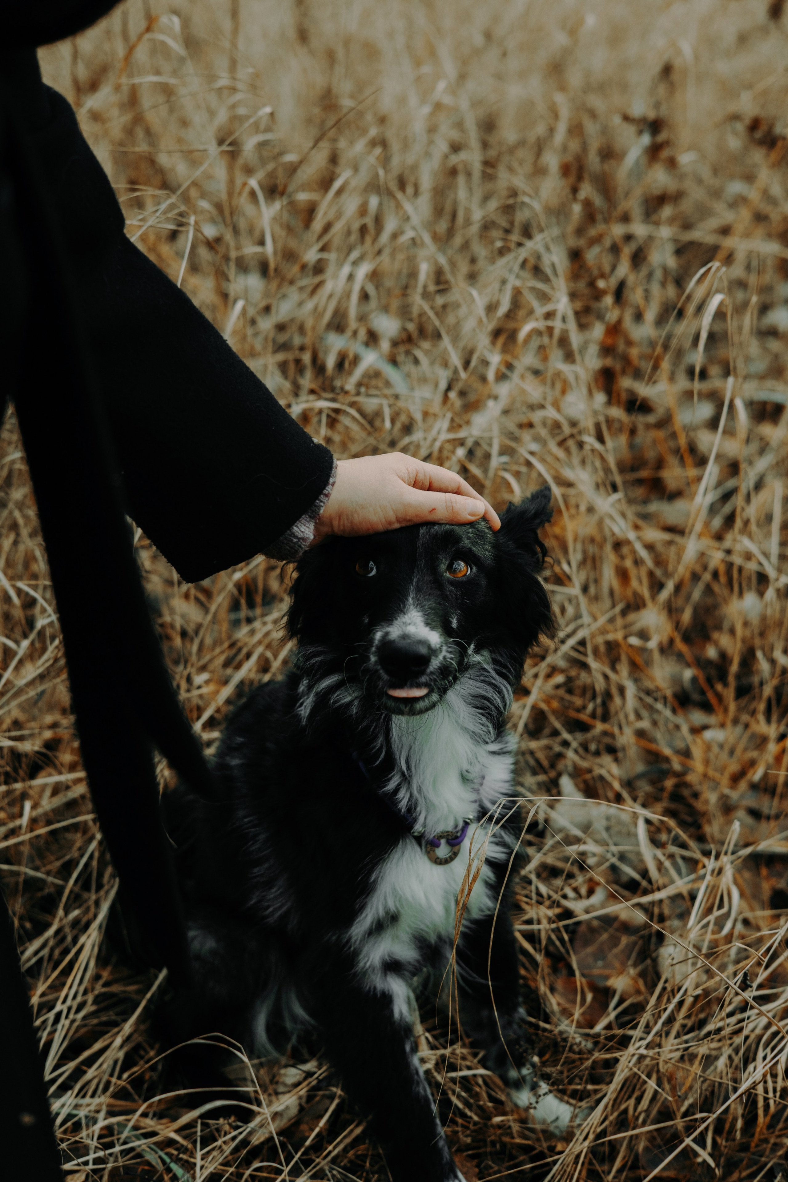 Полина и Сейви. Фотограф-анималист Богданова Полина