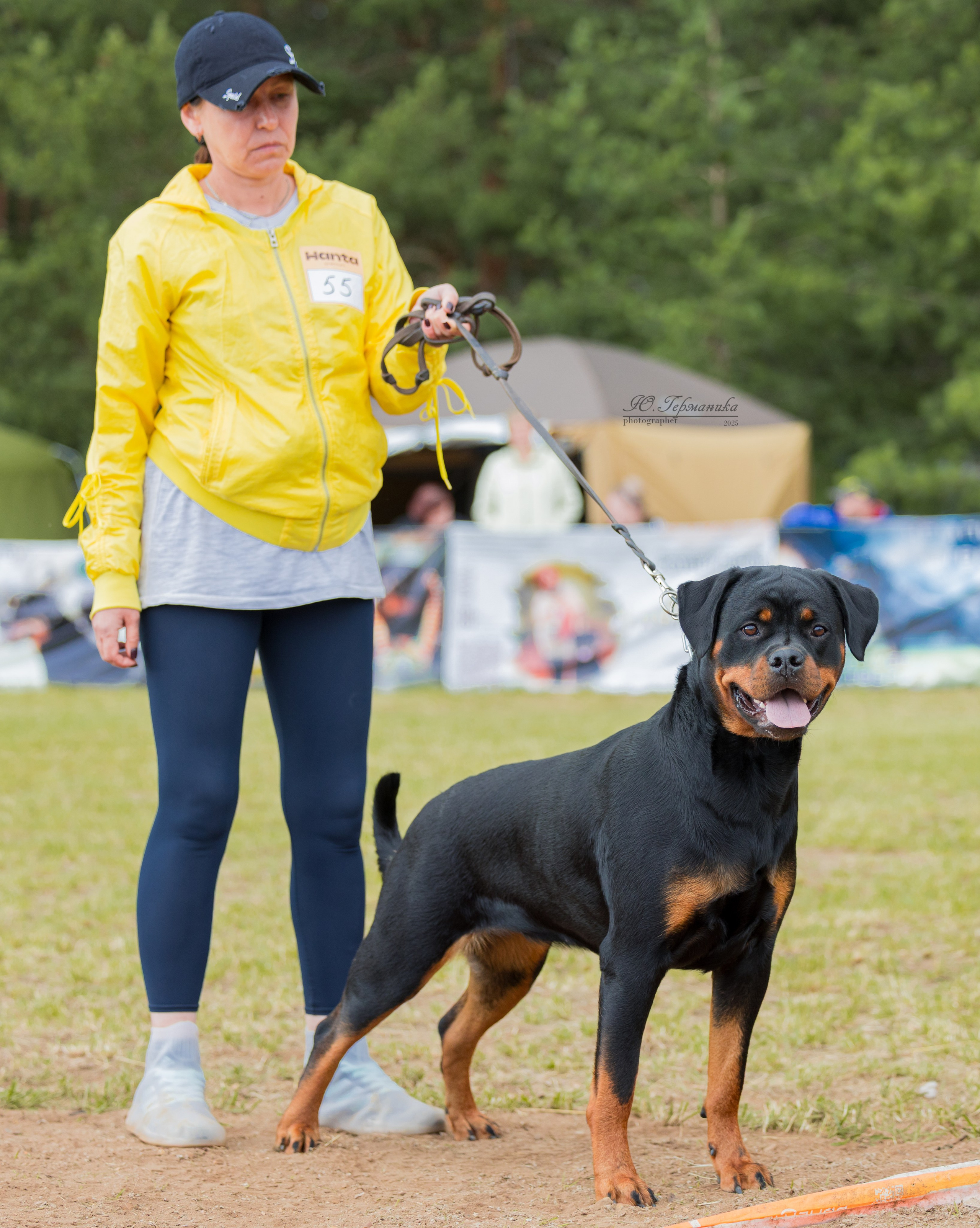 Тверь ротвейлеры 5-6.07.2025. Фотограф-анималист Юлия Германика