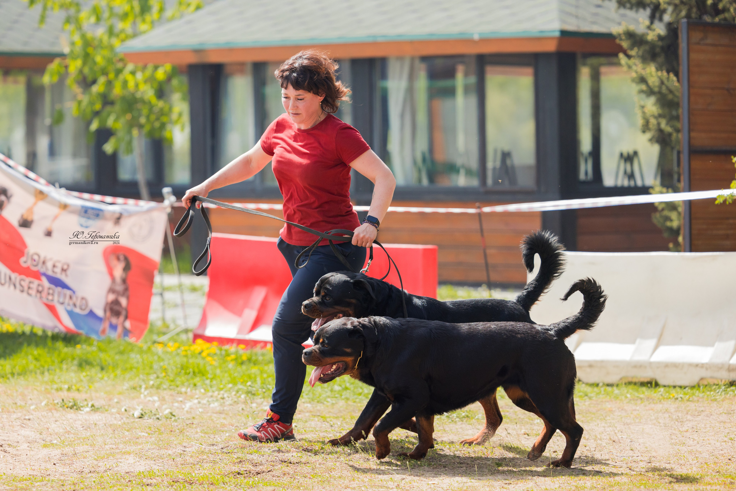 Саратов 2 х моно ротвейлеров 28-29.04.2024. Фотограф-анималист Юлия Германика