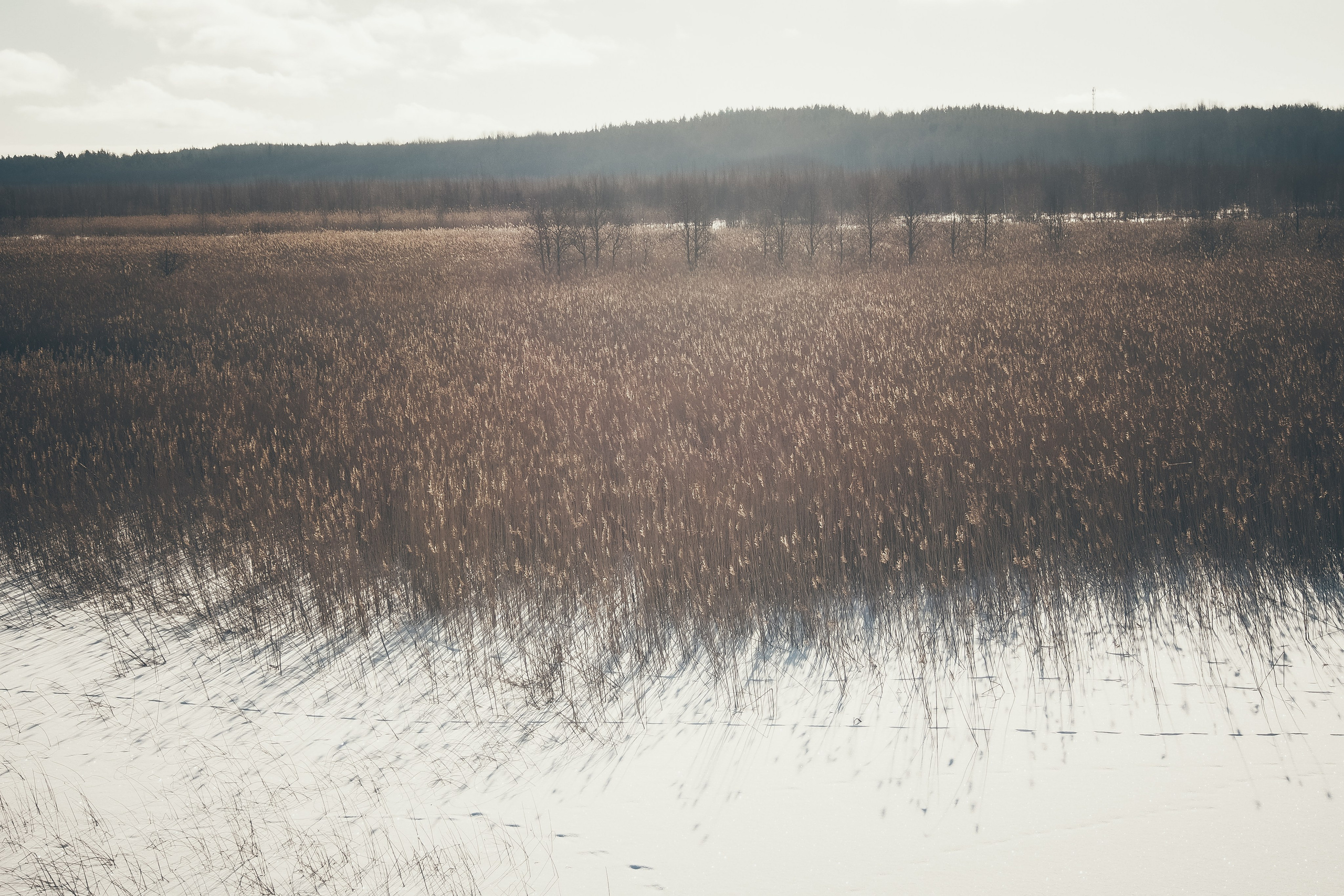 Другое. Свадебный фотограф Копков Геннадий