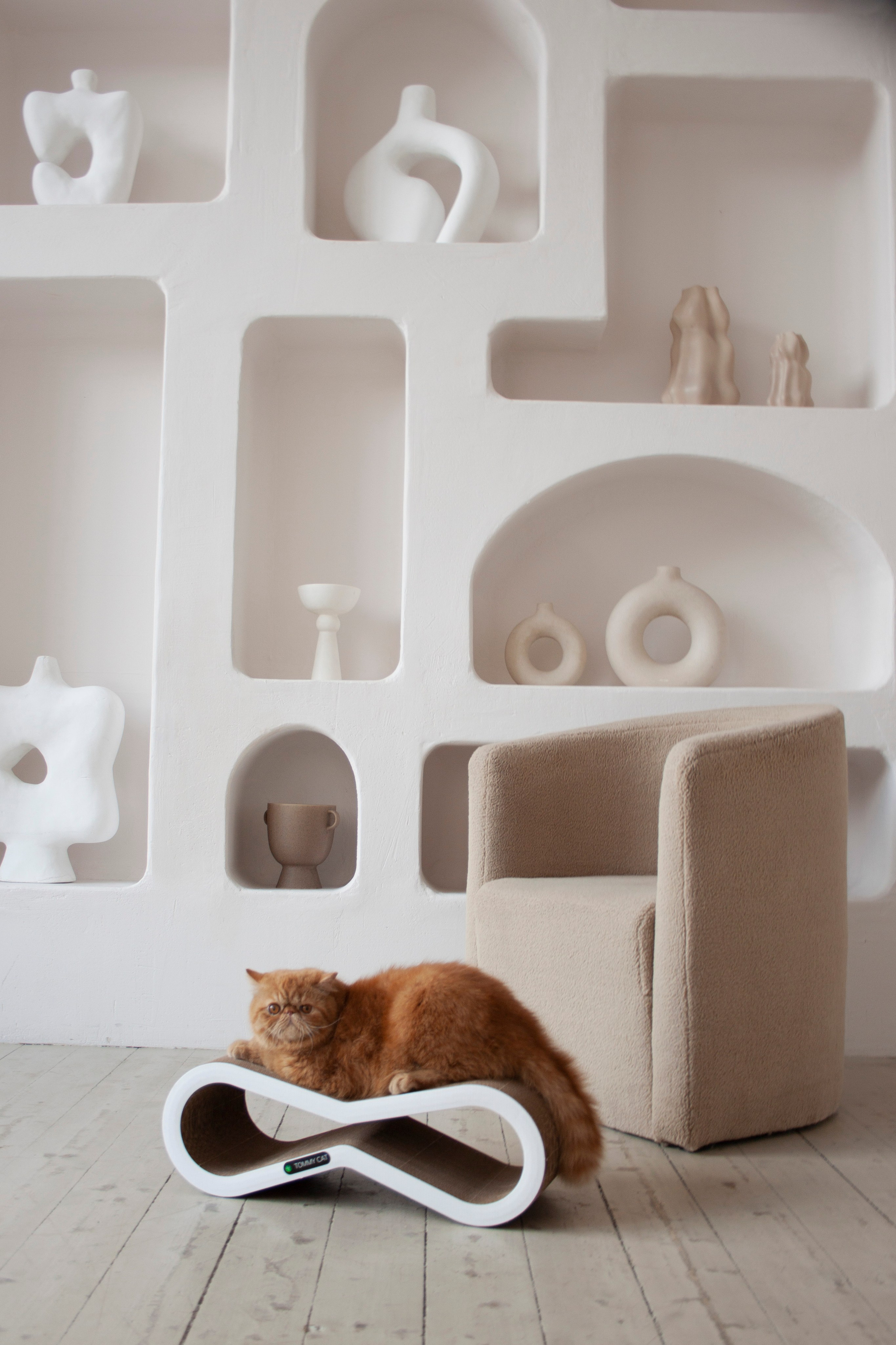 Работа с Tommy cat. Oksan_photo