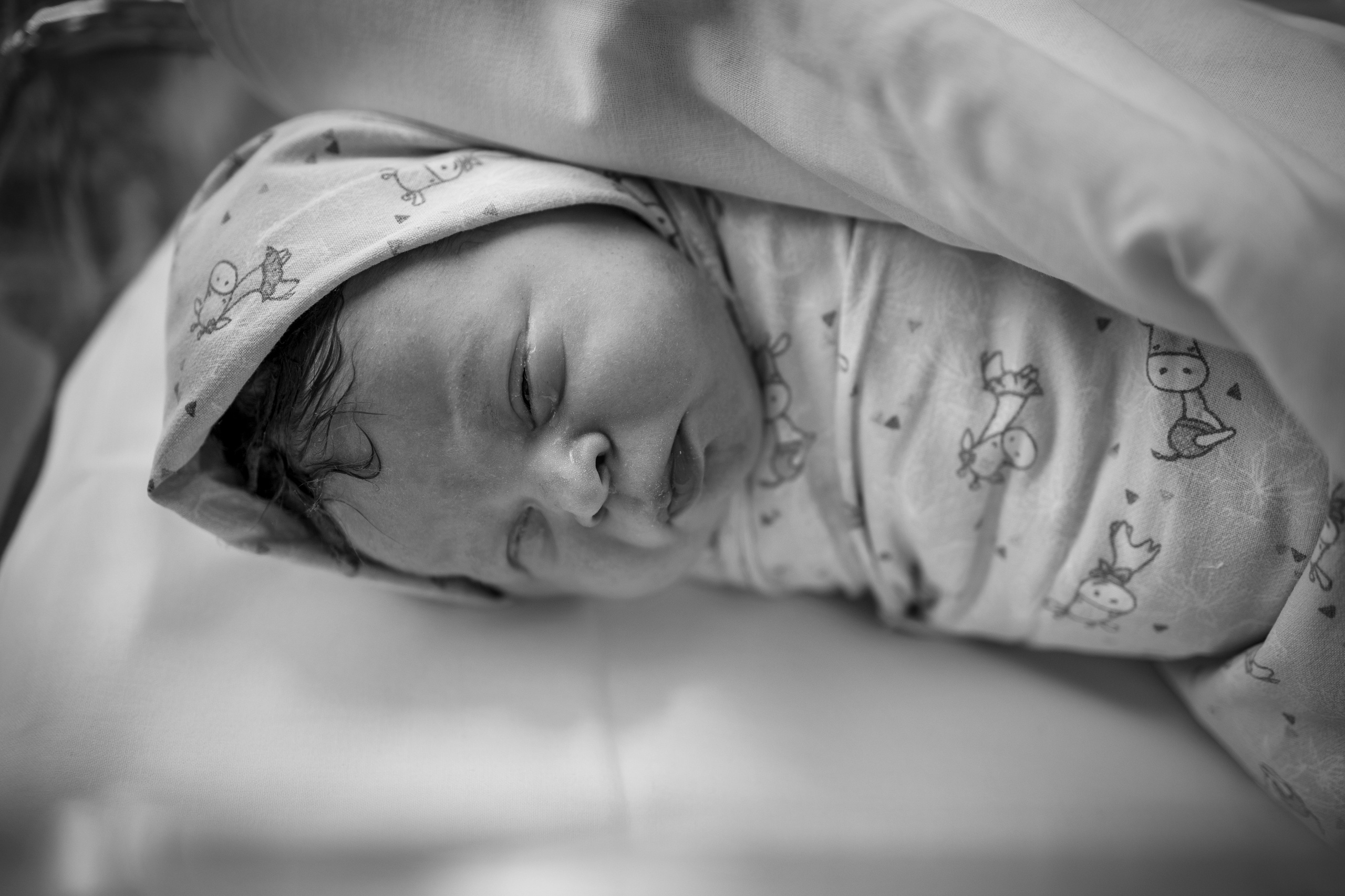 Рождение Тимофея