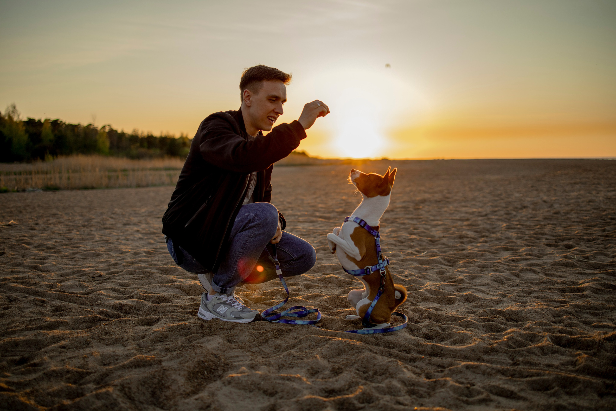 Лео и Саша. Фотограф-анималист в Санкт-Петеребурге Титова Алиса