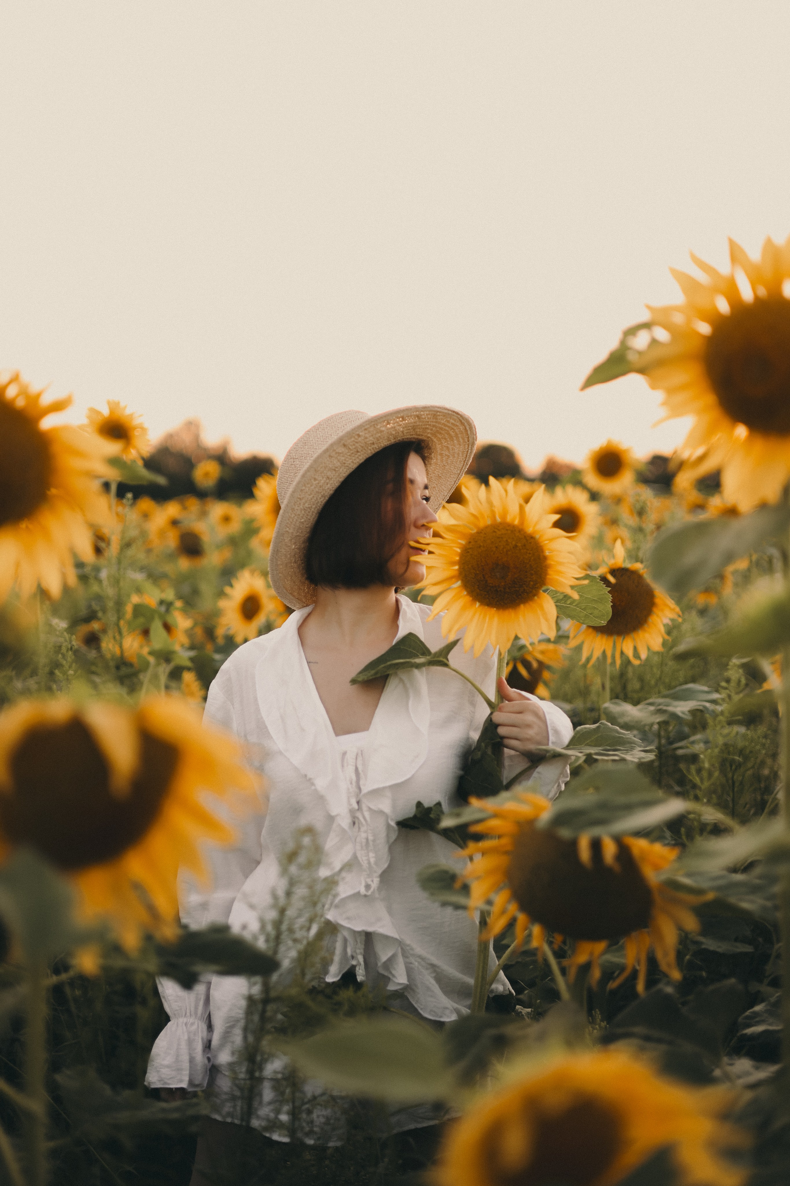 Владислава | Подсолнухи. Фотограф Мария Лаенко