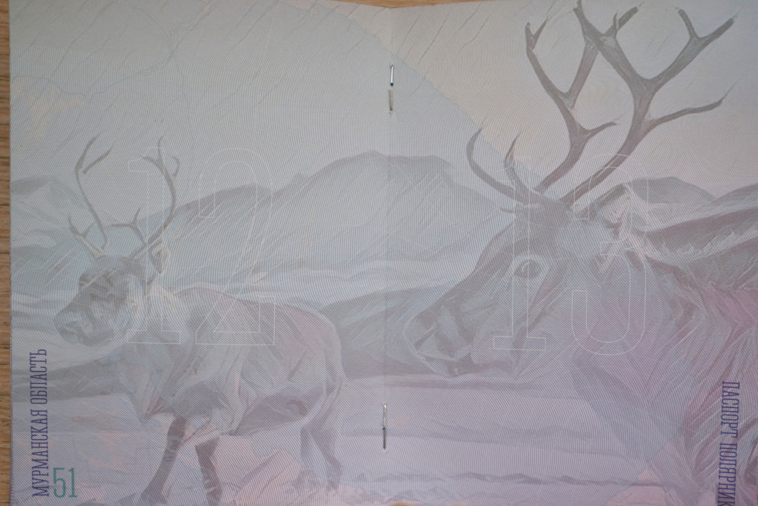 Поездка в Мурманск. Заметки и фото. Елена Павленко. Фотограф. Москва