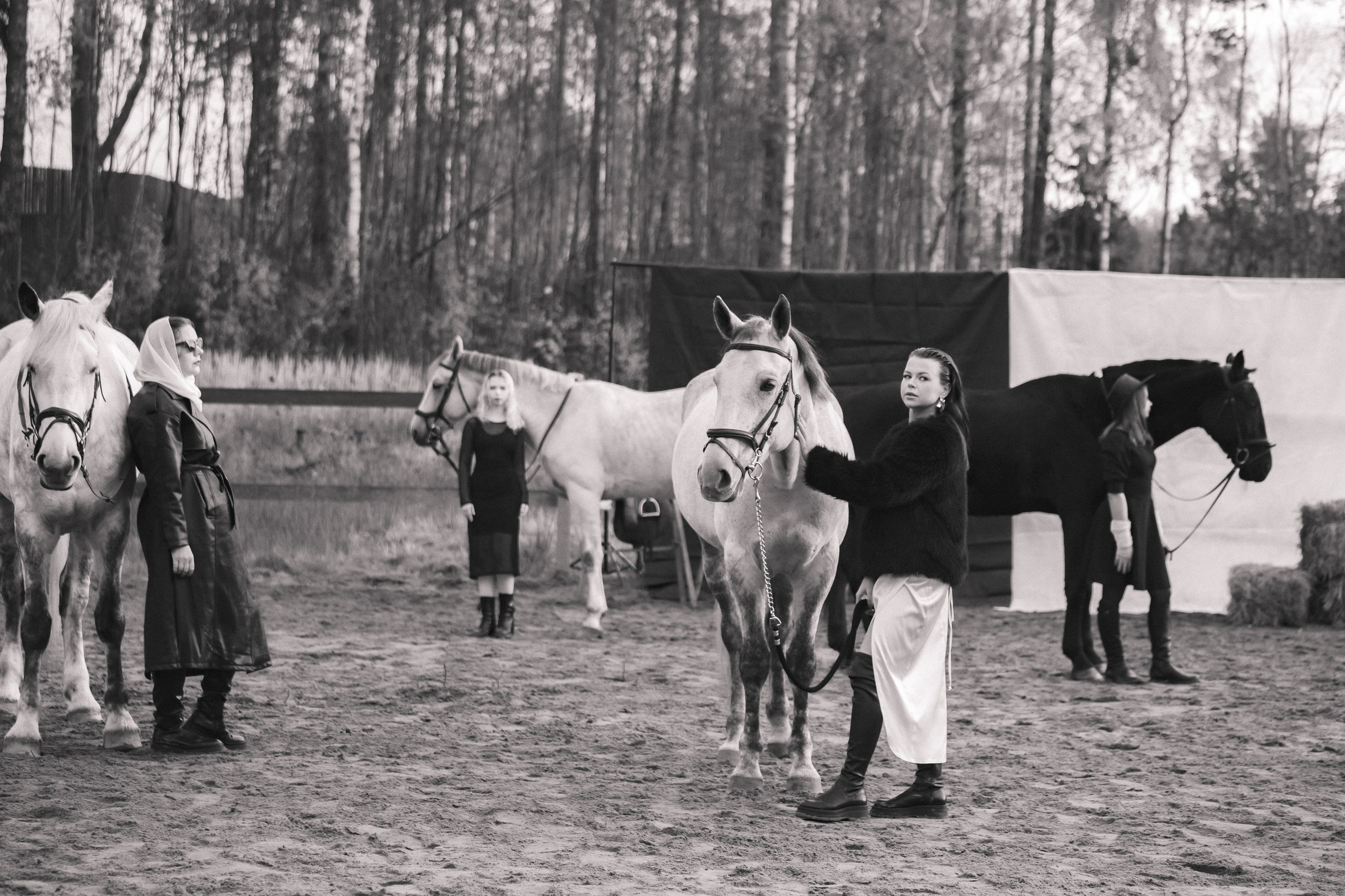 Проект DEFILE. Конный фотограф в Санкт-Петербурге Анна Лебедева