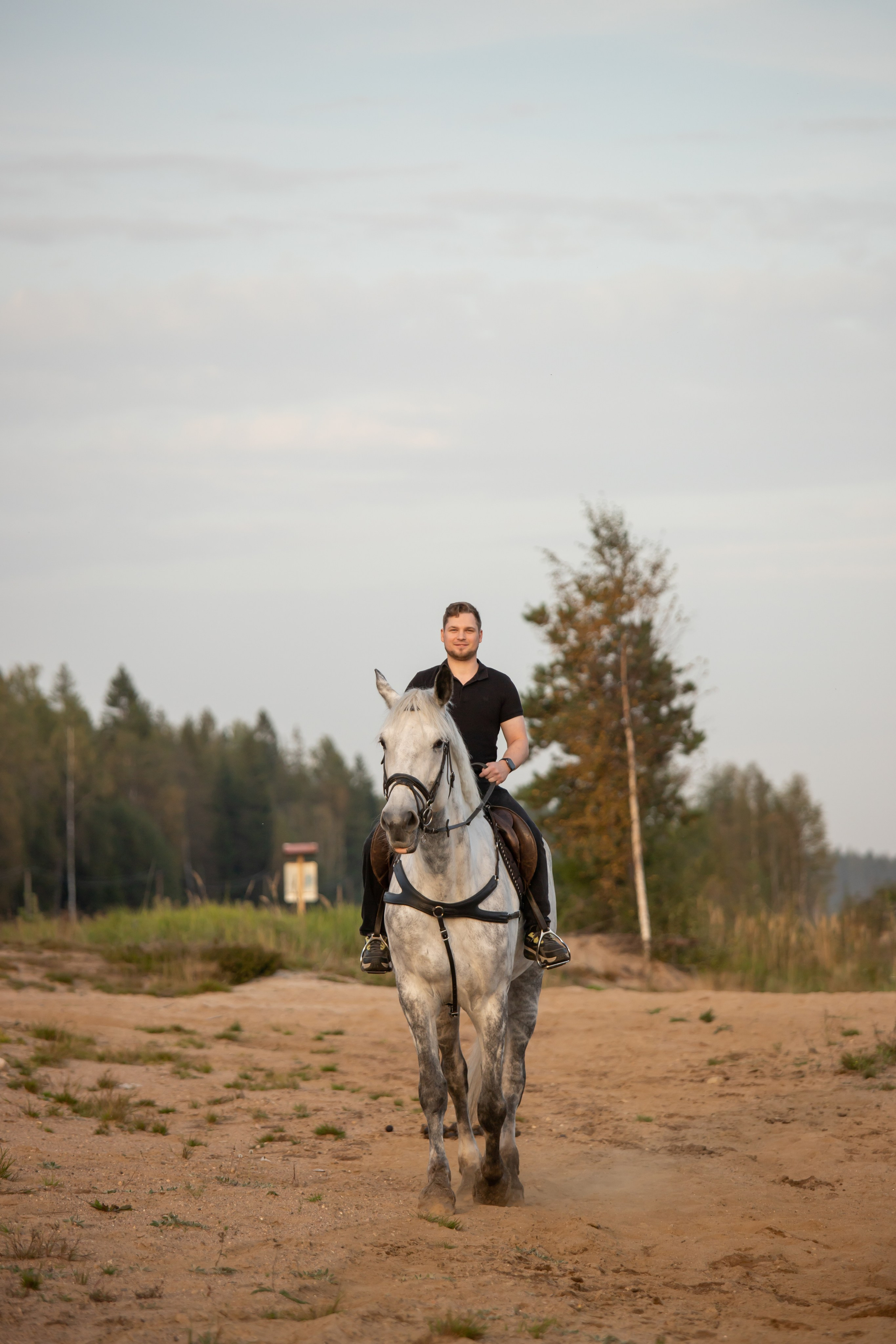 Фотопрогулки с Рич Бич. Конный фотограф в Санкт-Петербурге Анна Лебедева