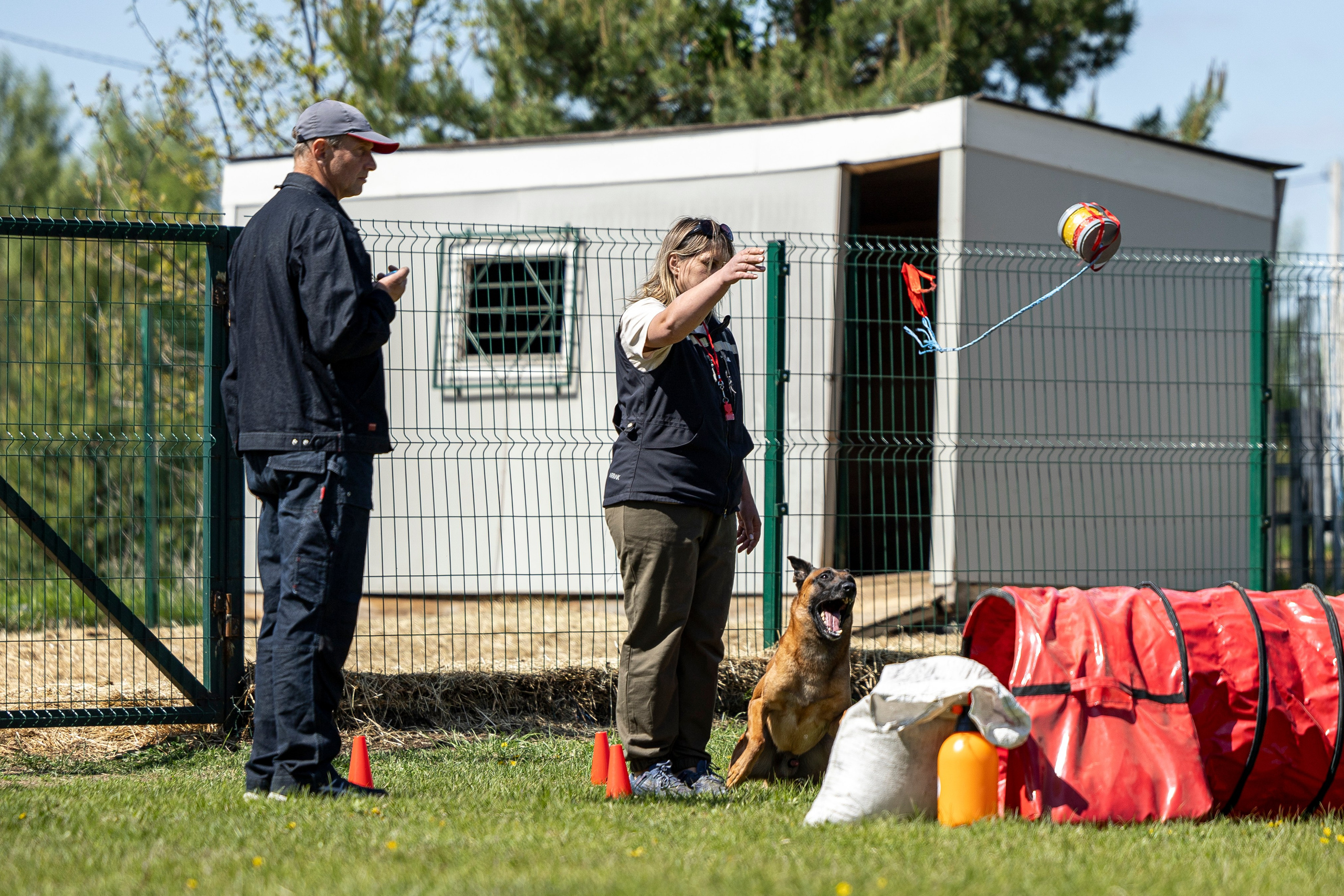 Испытания по мондьорингу в Нижнем Новгороде. Фотограф-анималист Анна Маринич