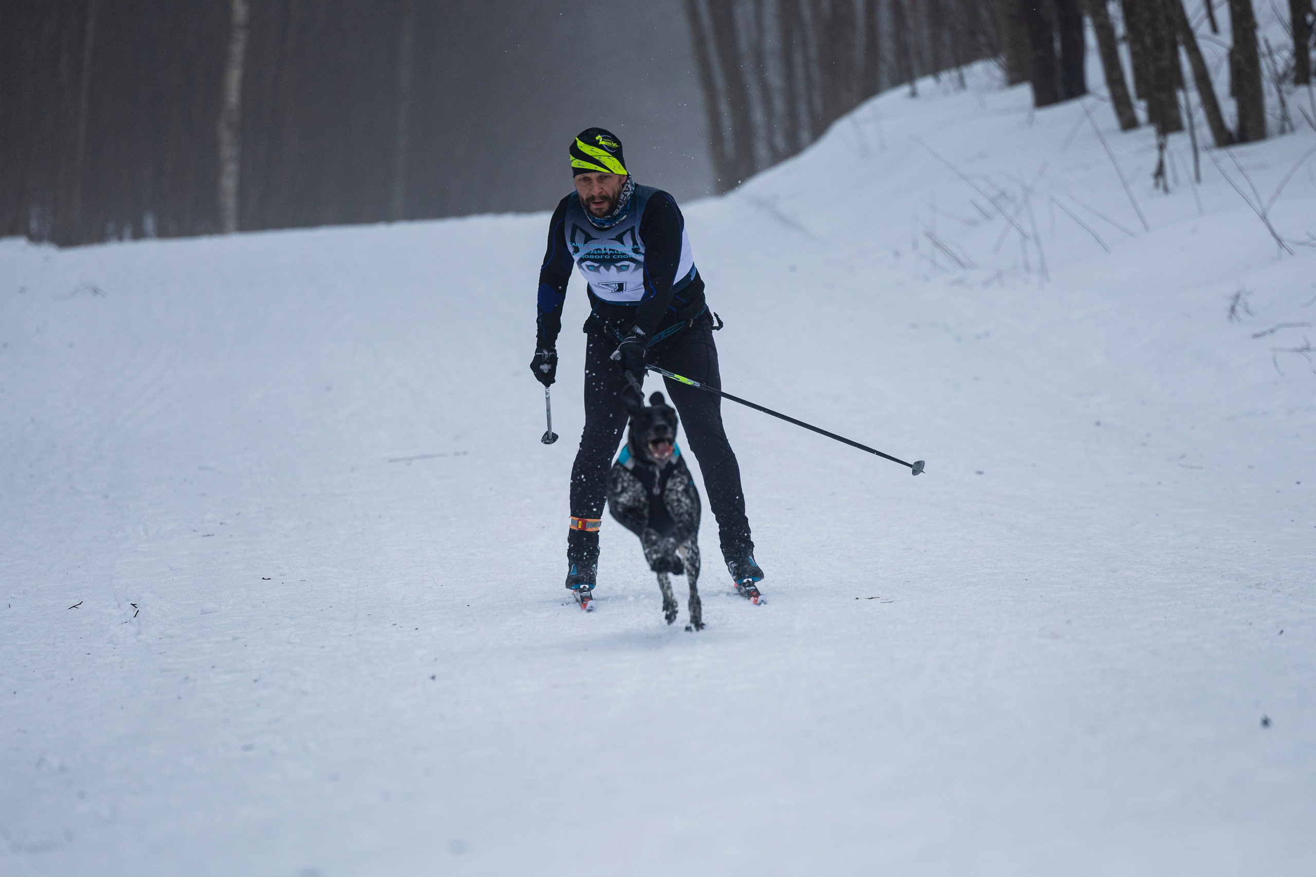 Зимний Чемпионат Санкт-Петербурга по ездовому спорту. Фотограф-анималист Анна Маринич