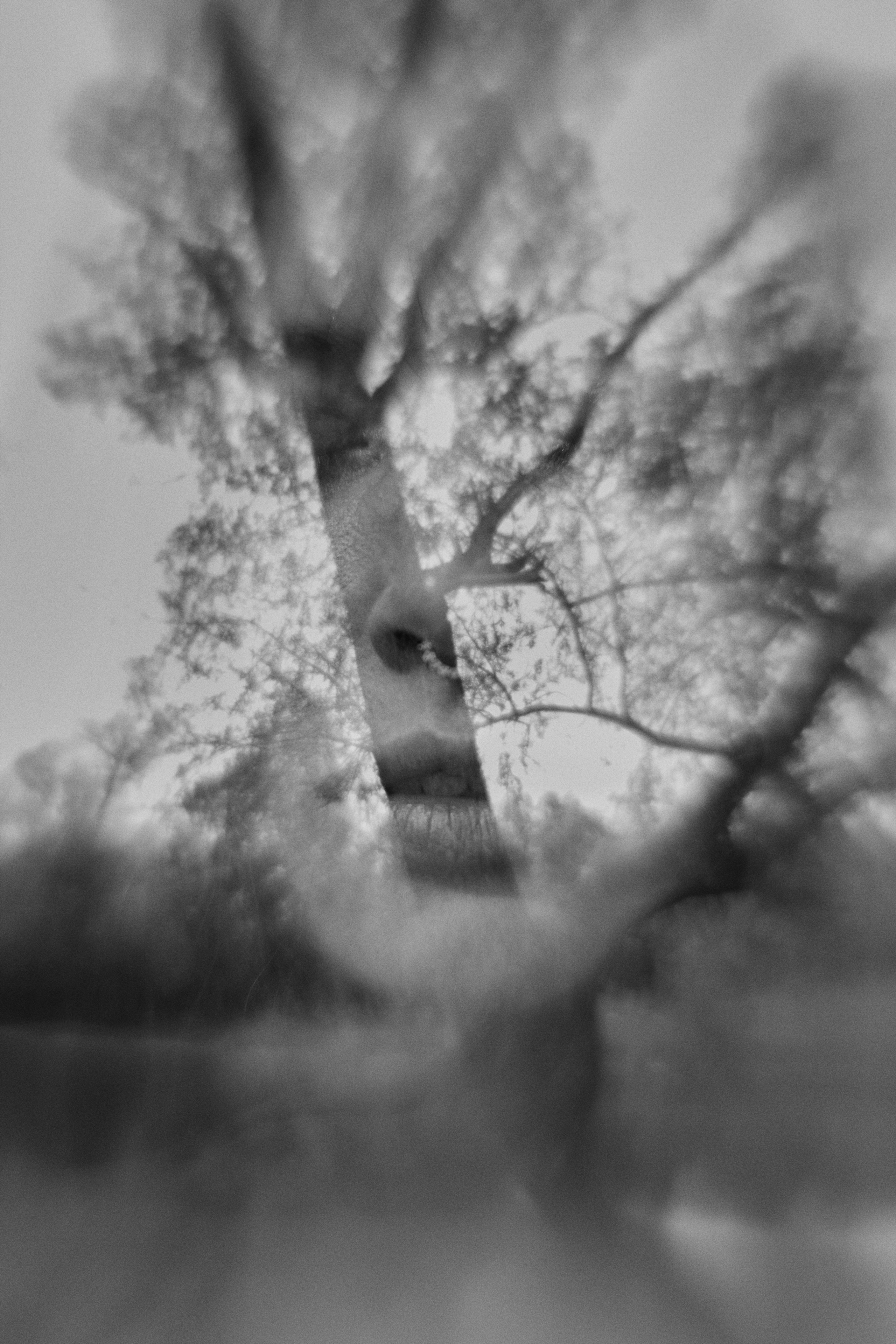 Visual artist/photographer Dayneko Tatyana Krasnoyarsk