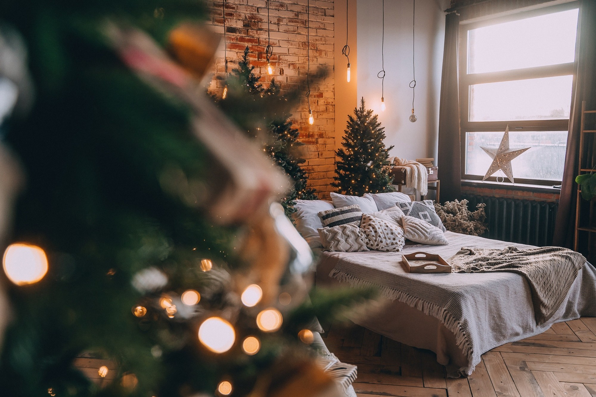 Новогодние Студии Тамбова. Фотограф г. Тамбов г. Воронеж Богдан Тарасов