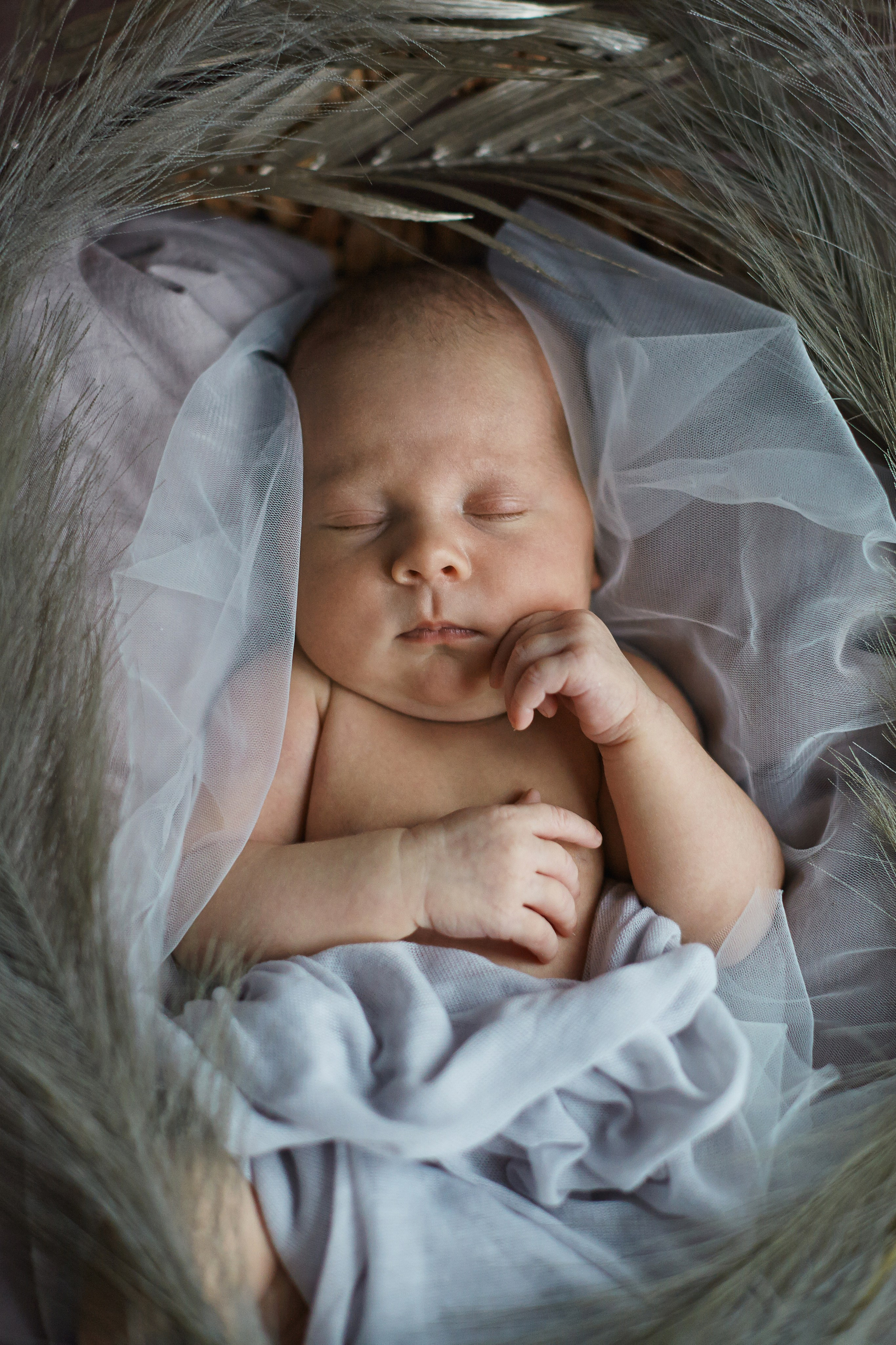 Есения. Фотограф Ольга Ефремова