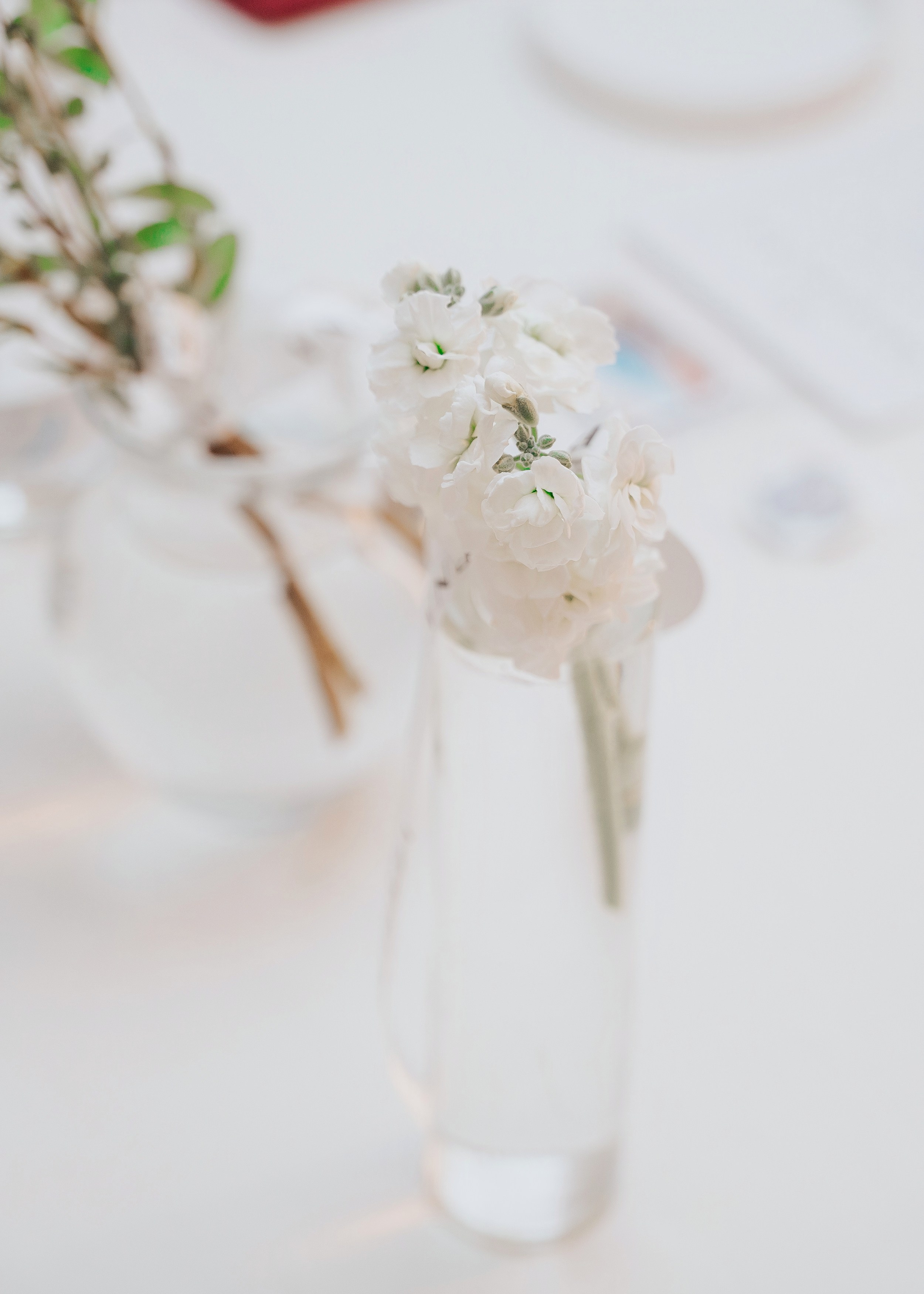 MAIN WINE. Фотограф Хабаровск