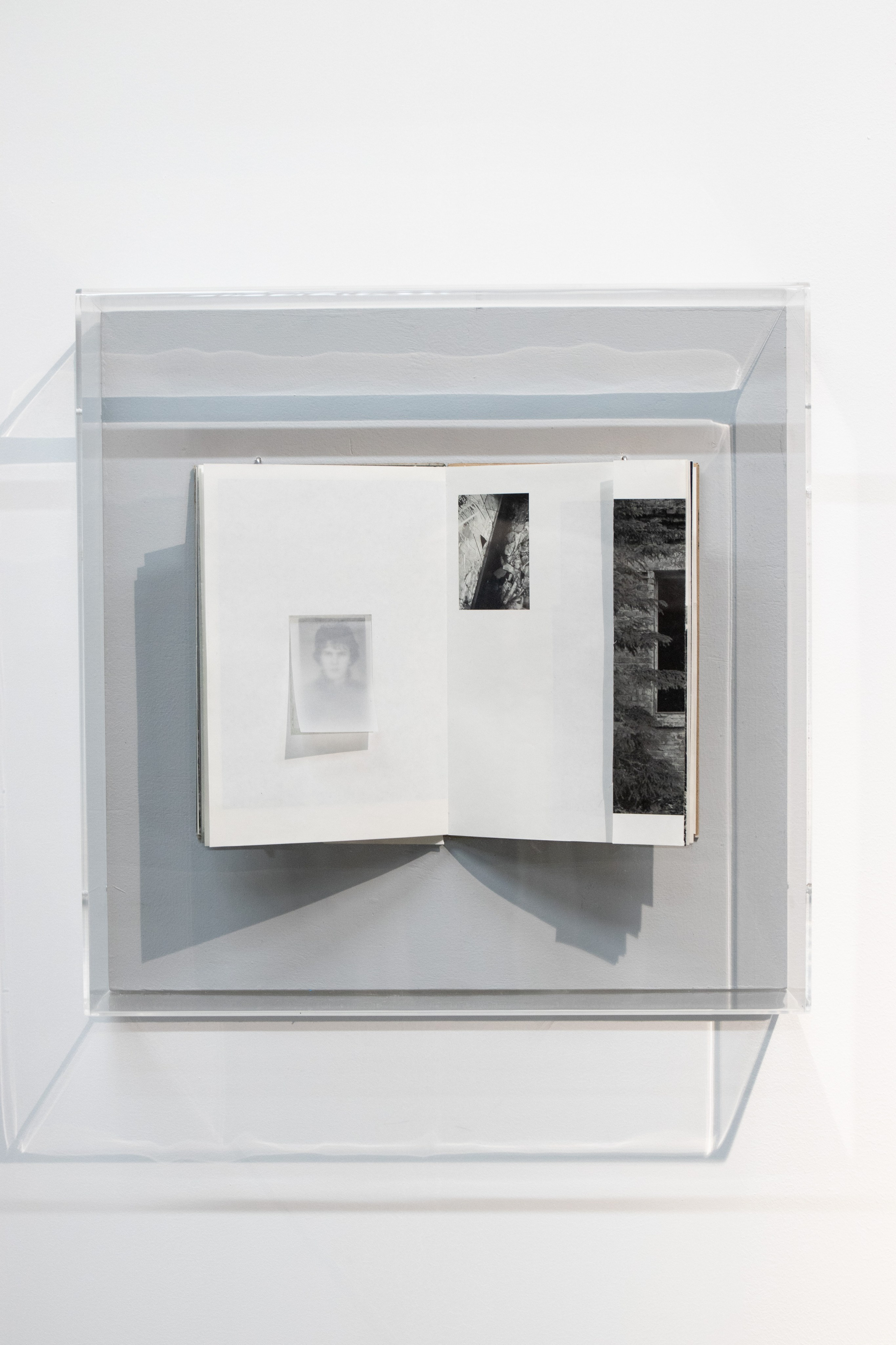 О лесе, скорби и ловушках, галерея Триумф. Художница Юлия Павлова