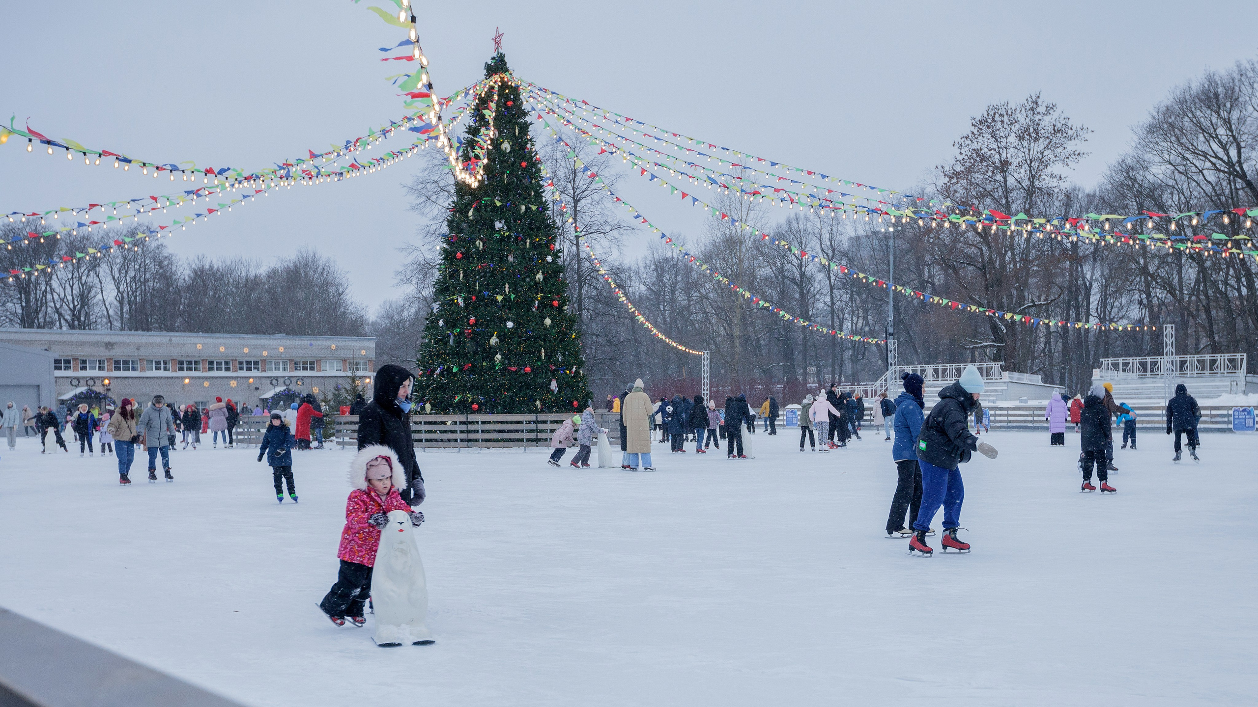Масленичные гуляния на Елагином острове '23. Семейный и предметный фотограф Мария Львова Санкт-Петербург flitphoto