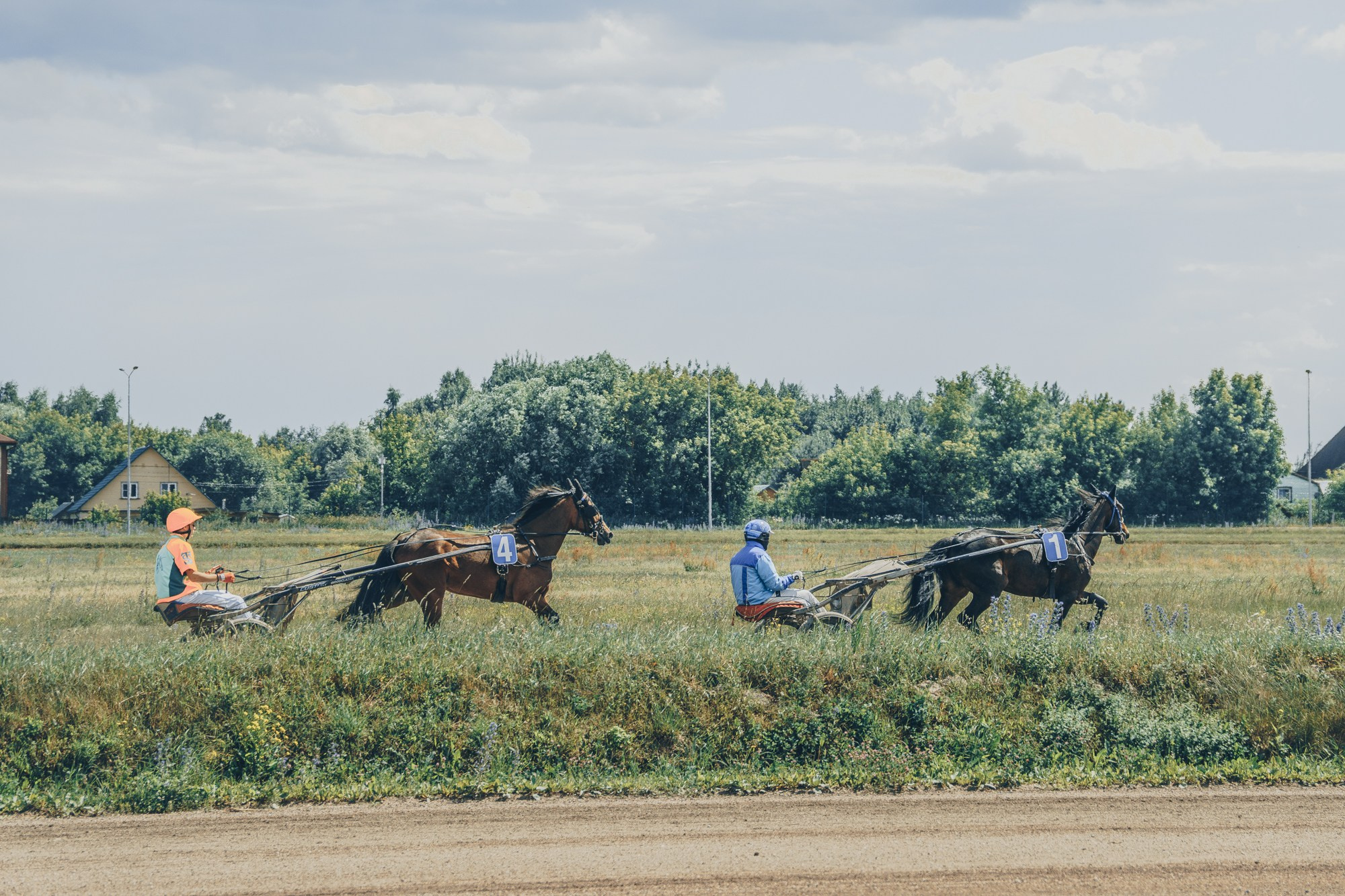 Раменский ипподром. Фотограф Яна Журавская Спб / Москва