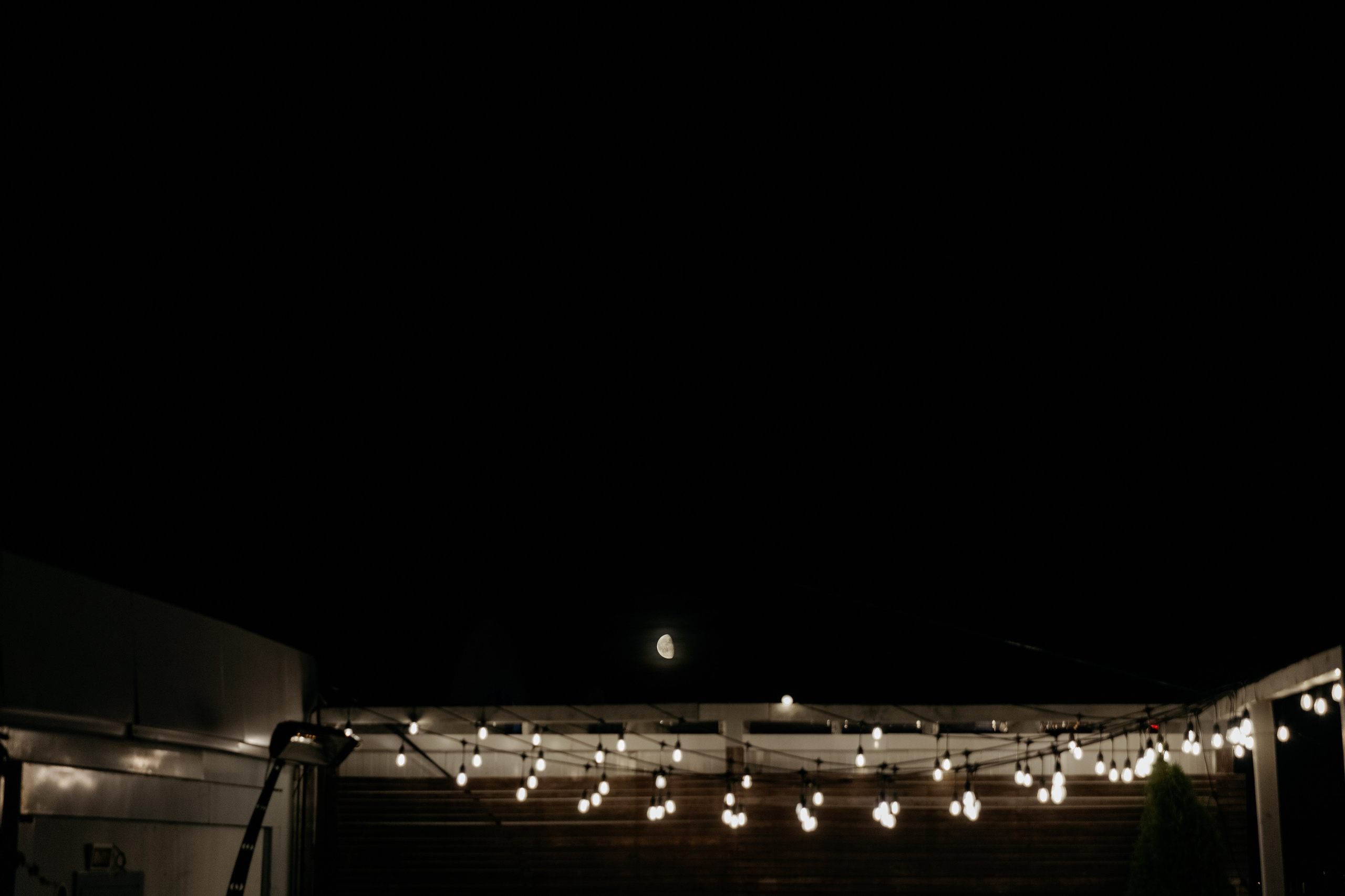 И ты после фильма Кустурицы!. Свадебный и репортажный фотограф в Санкт-Петербурге