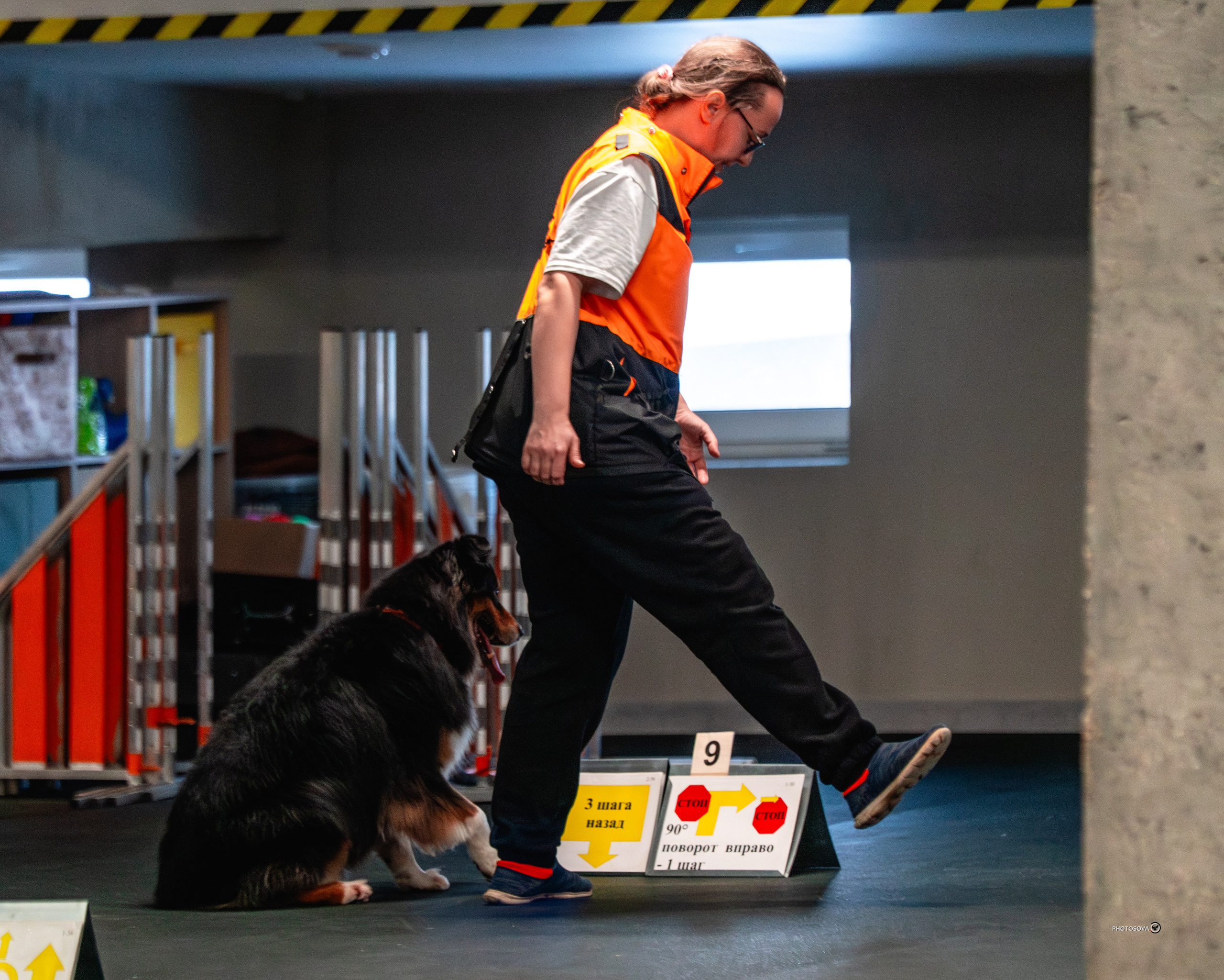 ТЫ И Я (соревнования по ралли-обидиенс). Фотограф-анималист, семейный фотограф в Москве и Подмосковье. Фотосъёмка кинологических дисциплин