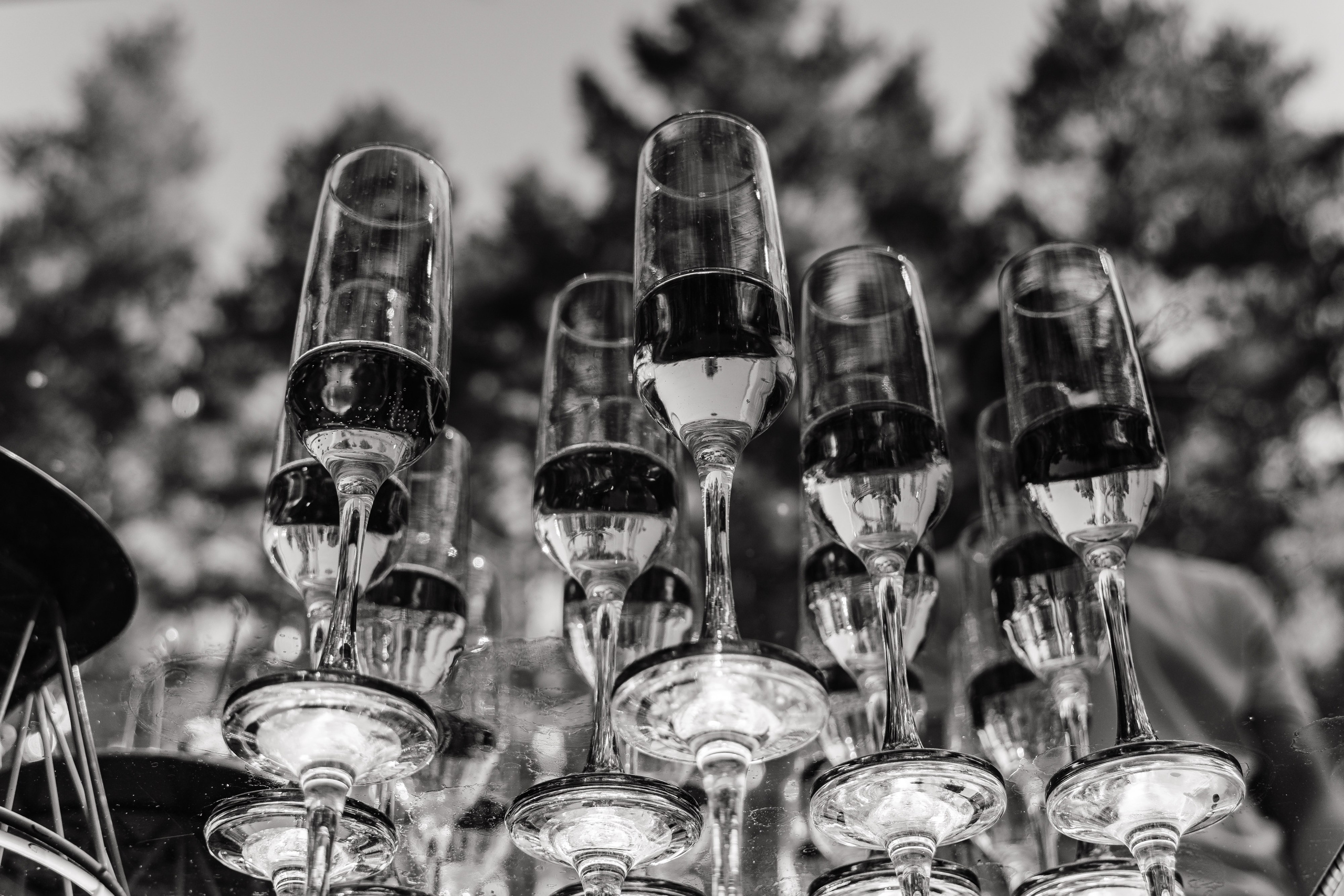 Юрий и Анастасия. Свадебная  съемка на Алтае