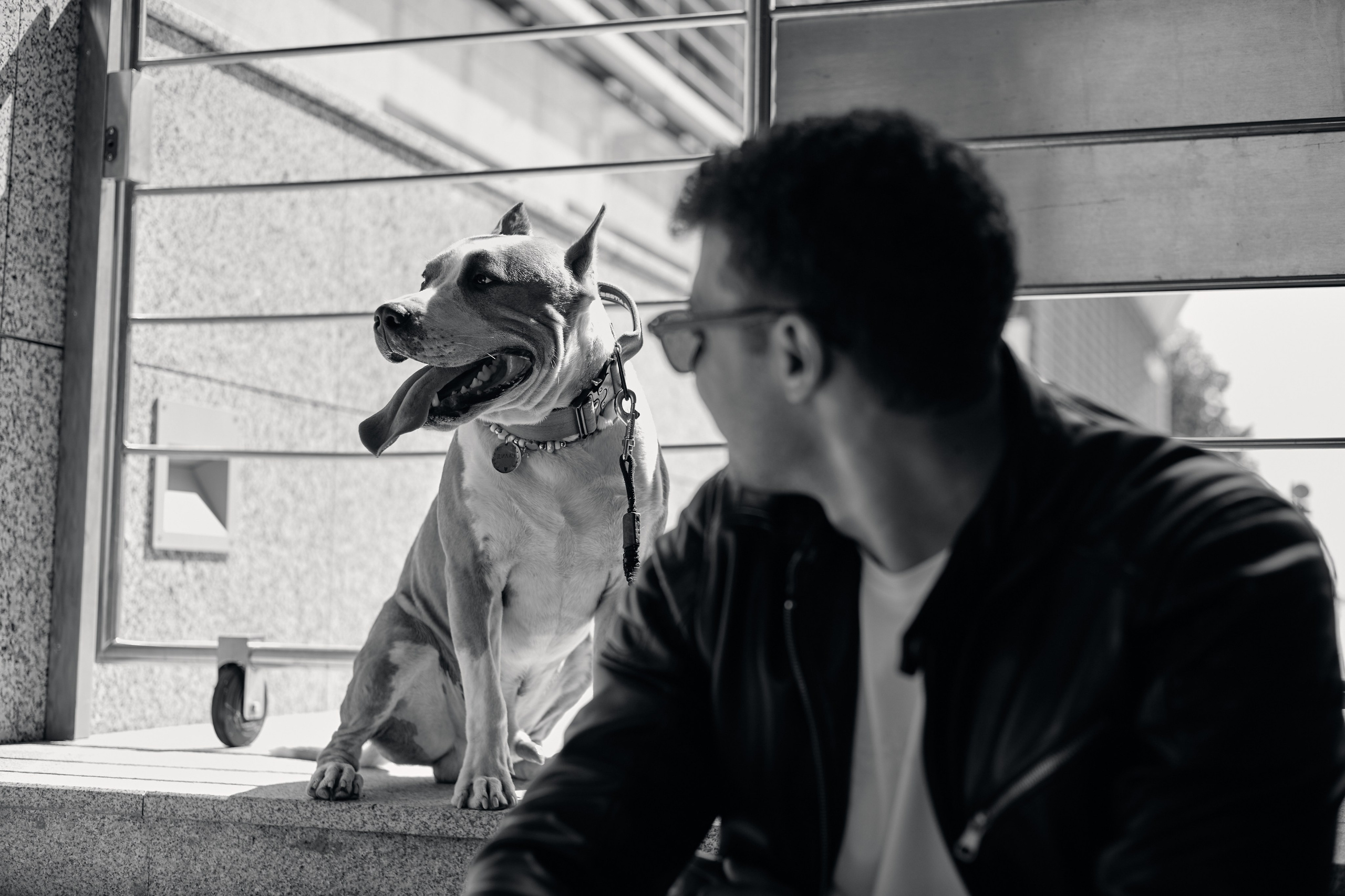 Абдо (прогулка с собакой). Фотограф из Казани