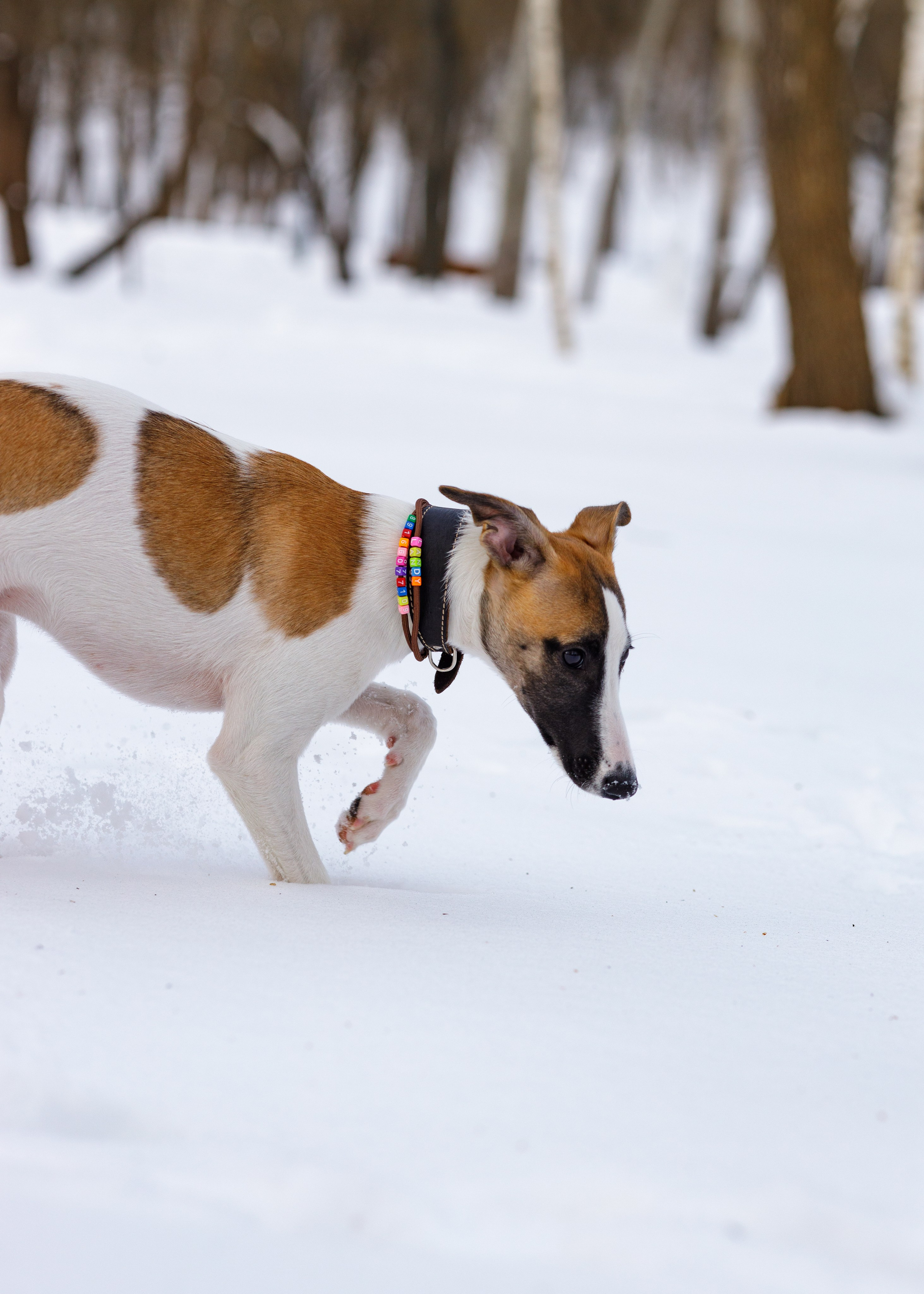 Ланди. Анна Самохина. Фотограф. Москва