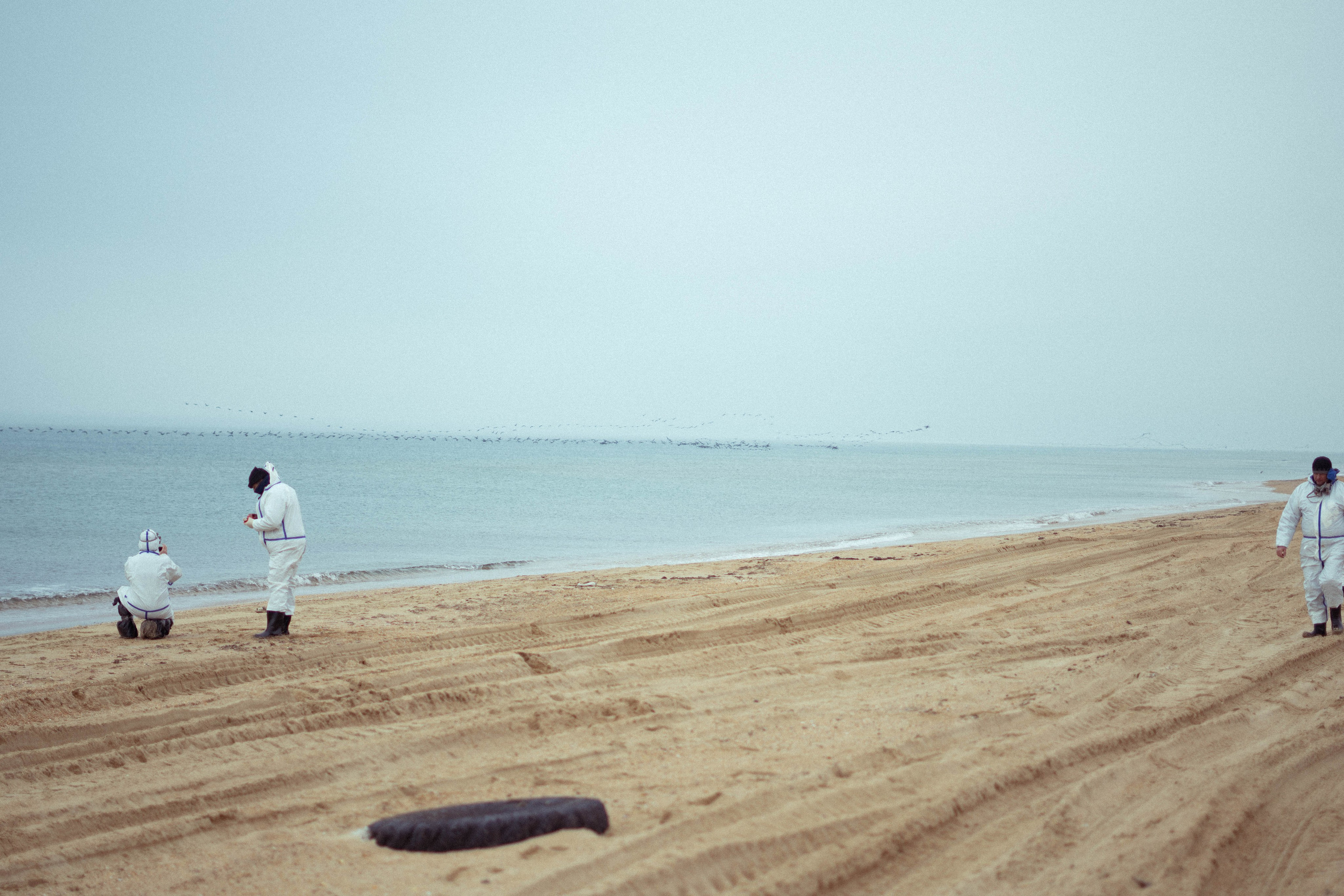 Разлив мазута в Керченском проливе. Фотограф Тбилиси / Photographer Tbilisi