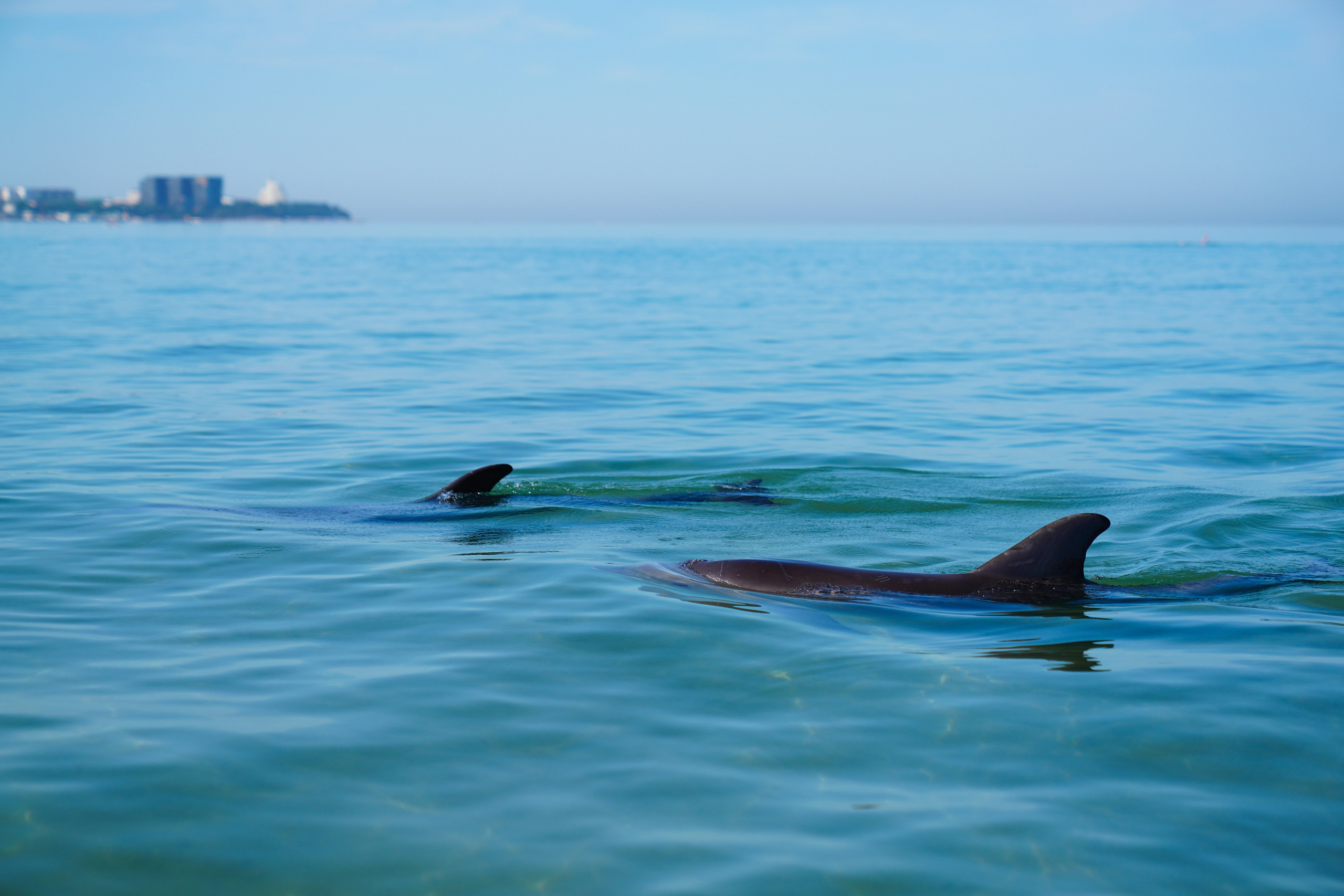Анапа. Фотограф Сергей Кишкель Дананг Нячанг Фукуок