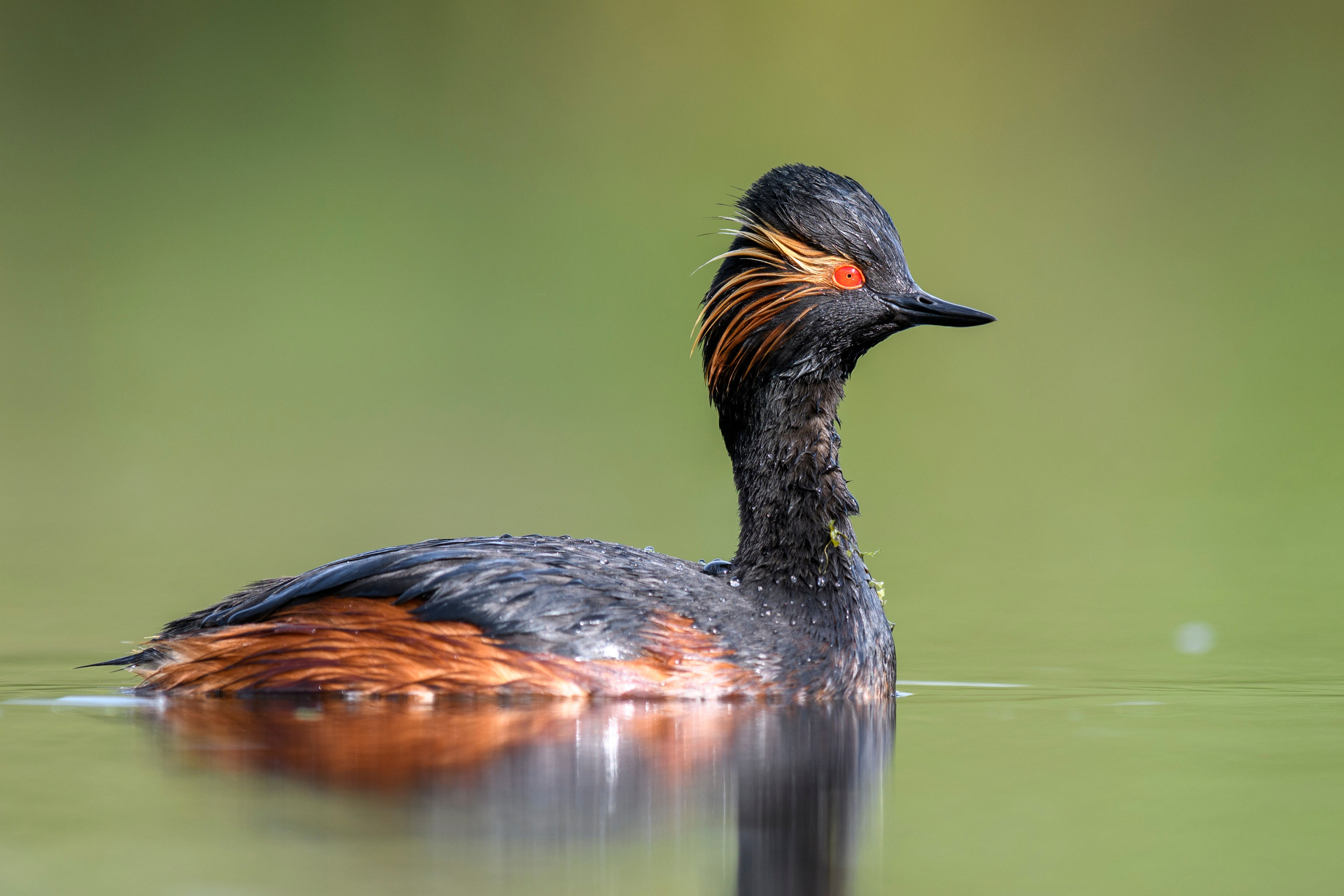 Выкрутасы. Фотограф Сергей Пупонин