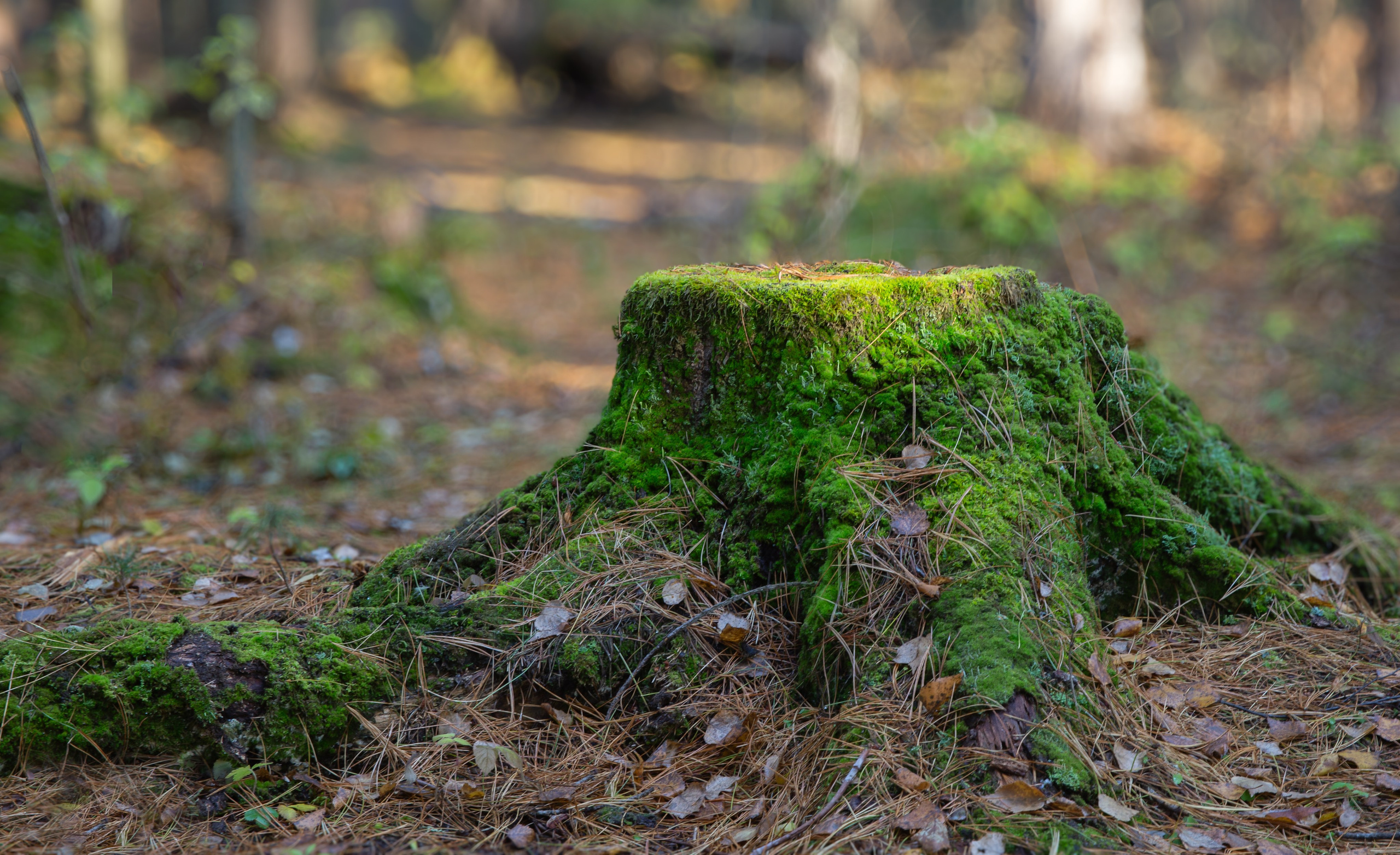 Тобольск. Мой фотомир