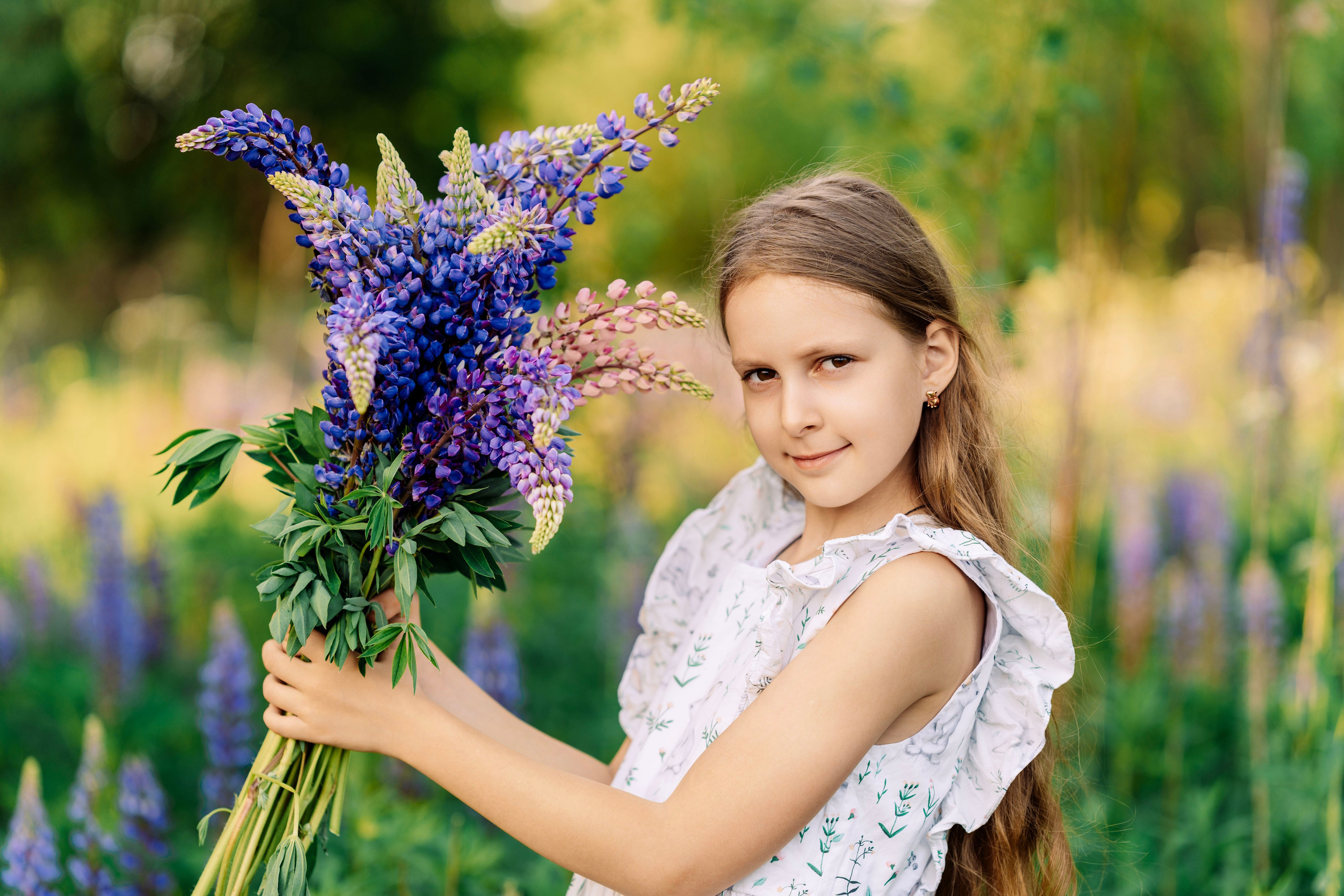 Люпины. Фотограф Юлия Попова