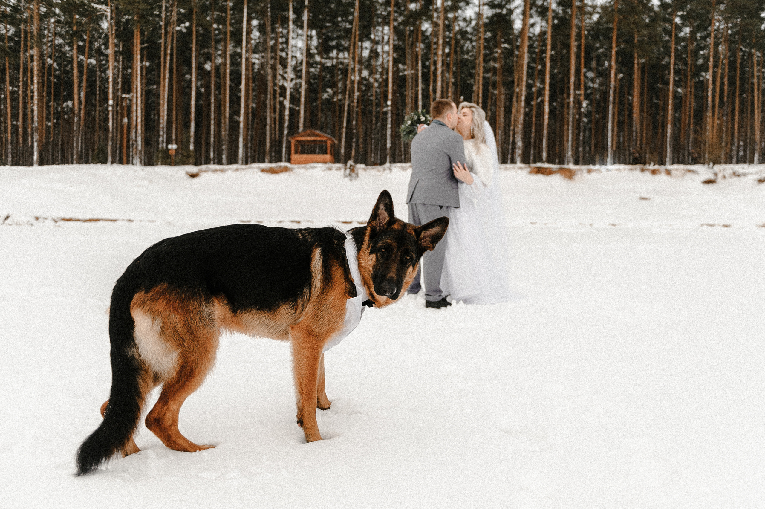 Яна и Гриша и BULLET. Свадебный фотограф в Ярославле и Москве Руслан Иософатов