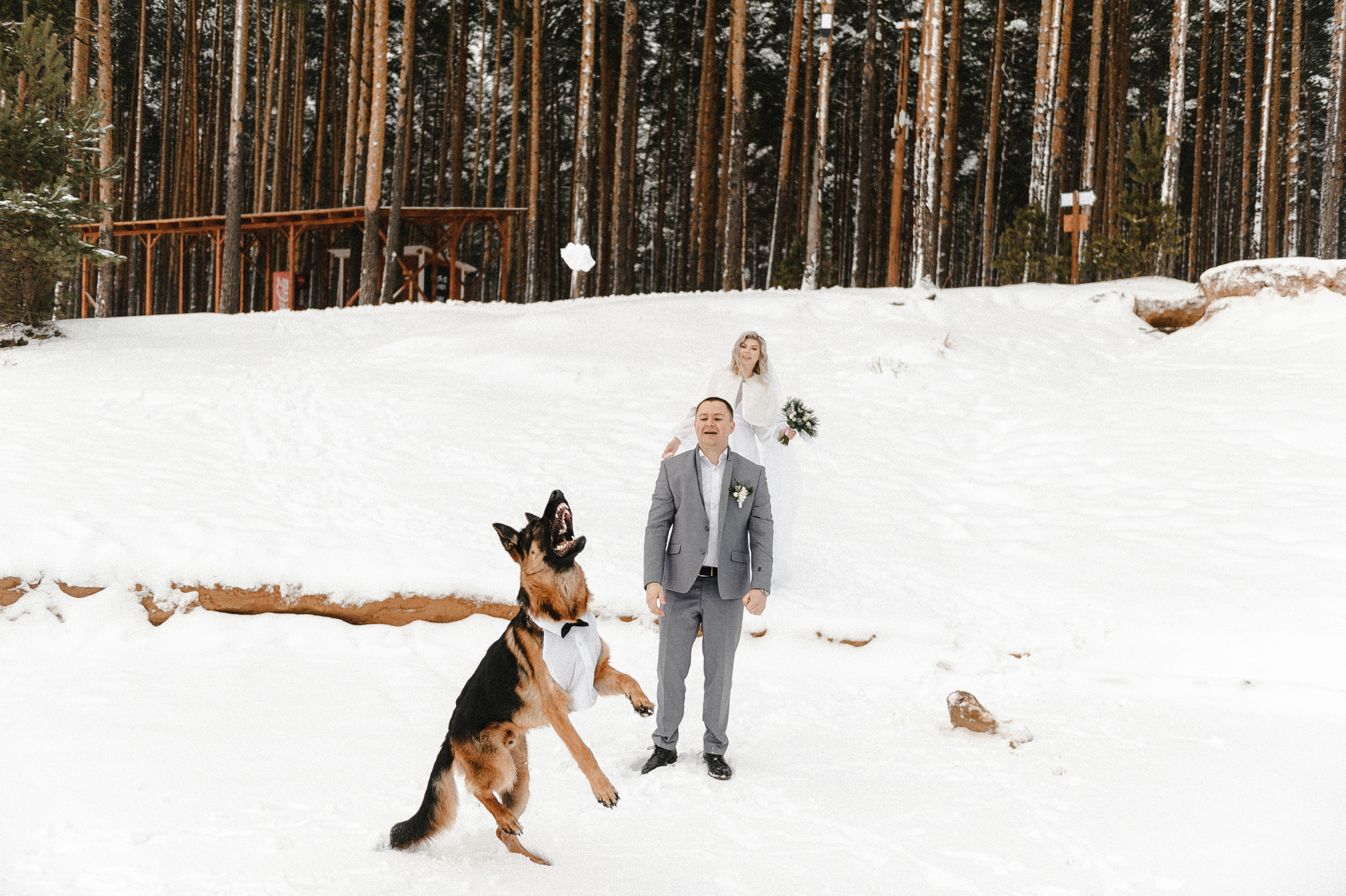 Яна и Гриша и BULLET. Свадебный фотограф в Ярославле и Москве Руслан Иософатов
