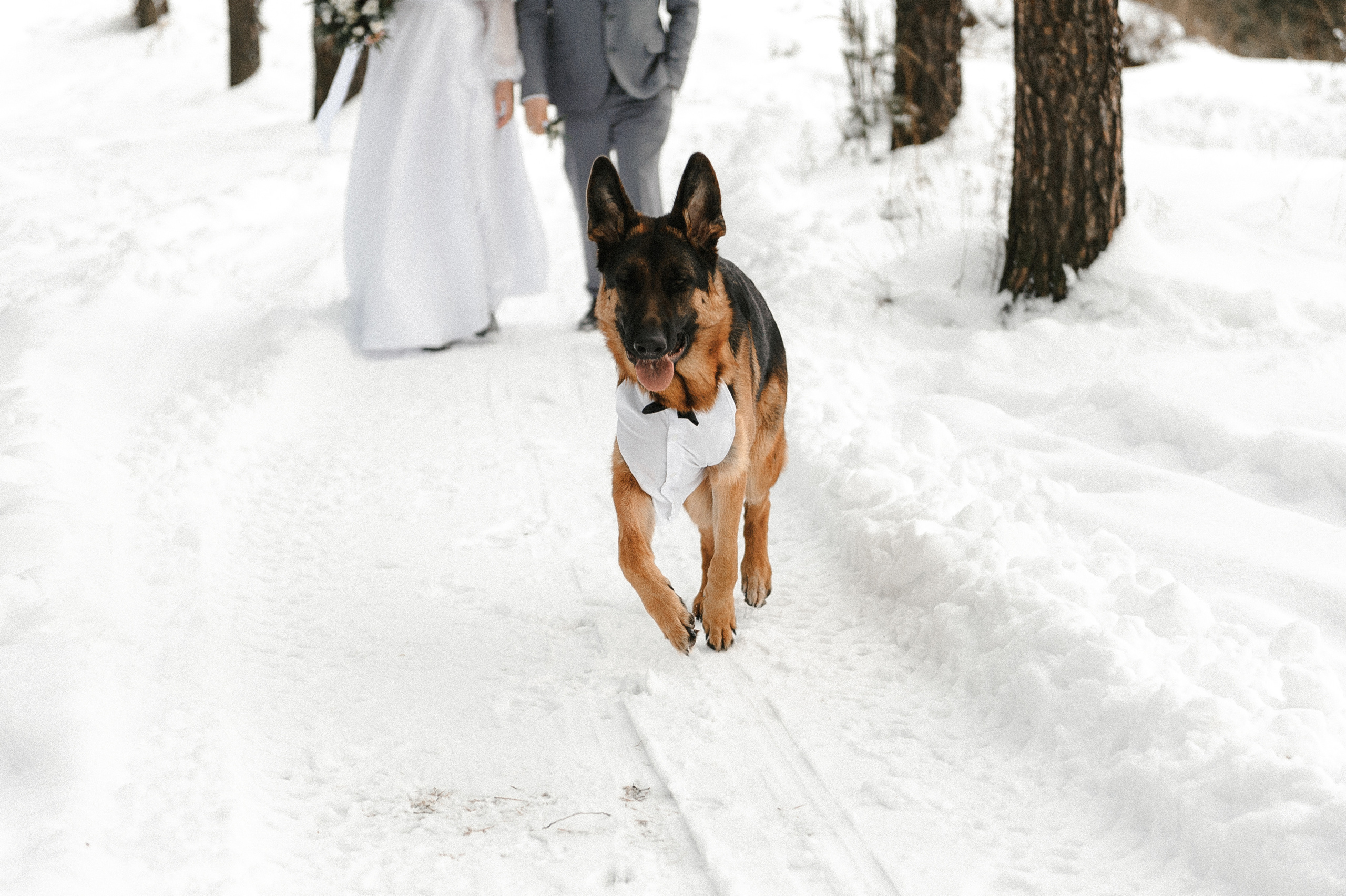 Яна и Гриша и BULLET. Свадебный фотограф в Ярославле и Москве Руслан Иософатов