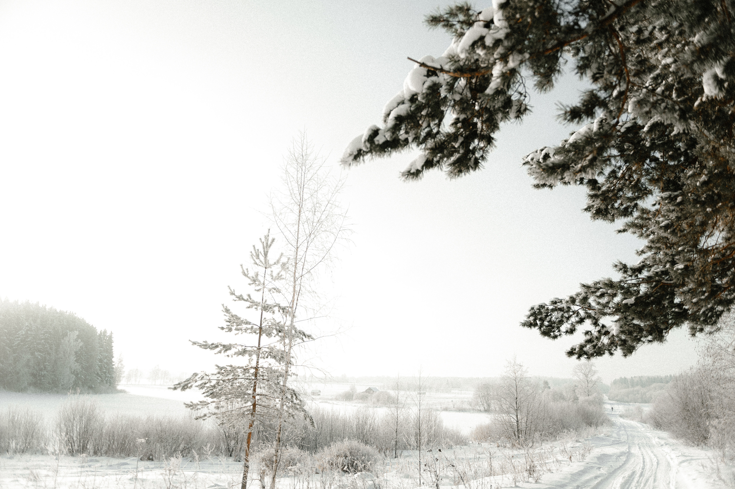 Свадьба зимой. Свадебный фотограф в Ярославле и Москве Руслан Иософатов
