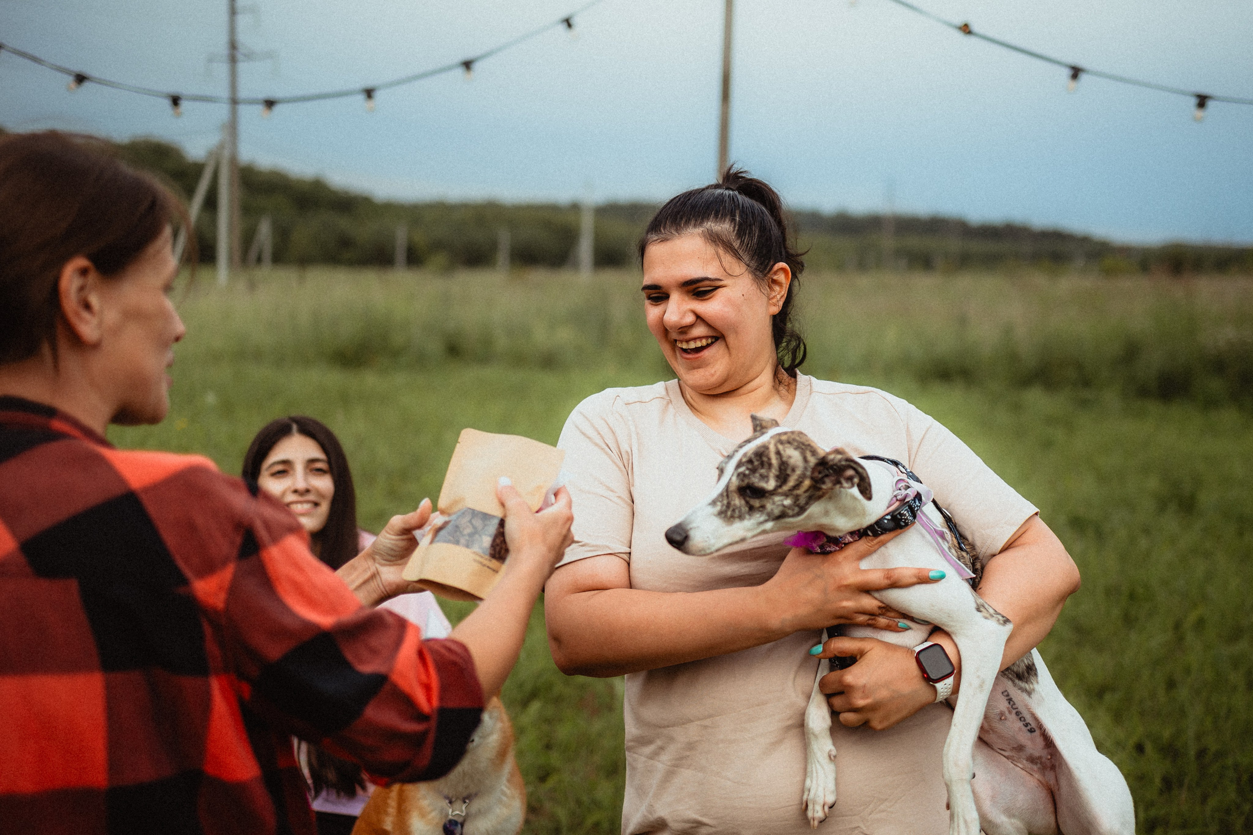 Выездной дог-тренинг от школы «Шерсть имею»