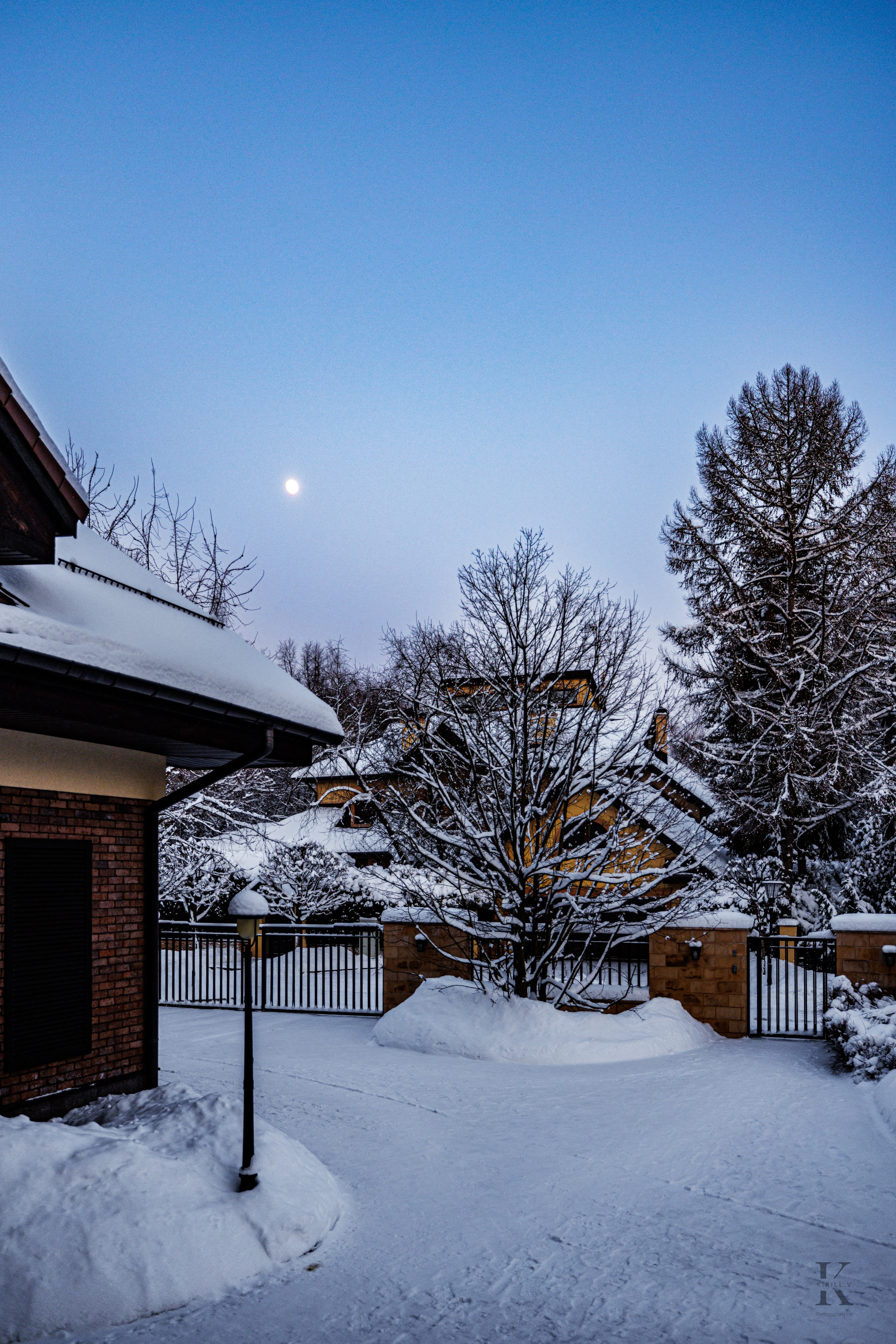 Природа 31 Декабря 2025 года. Клены. Фотографирую жизнь! Московский фотограф волонтер