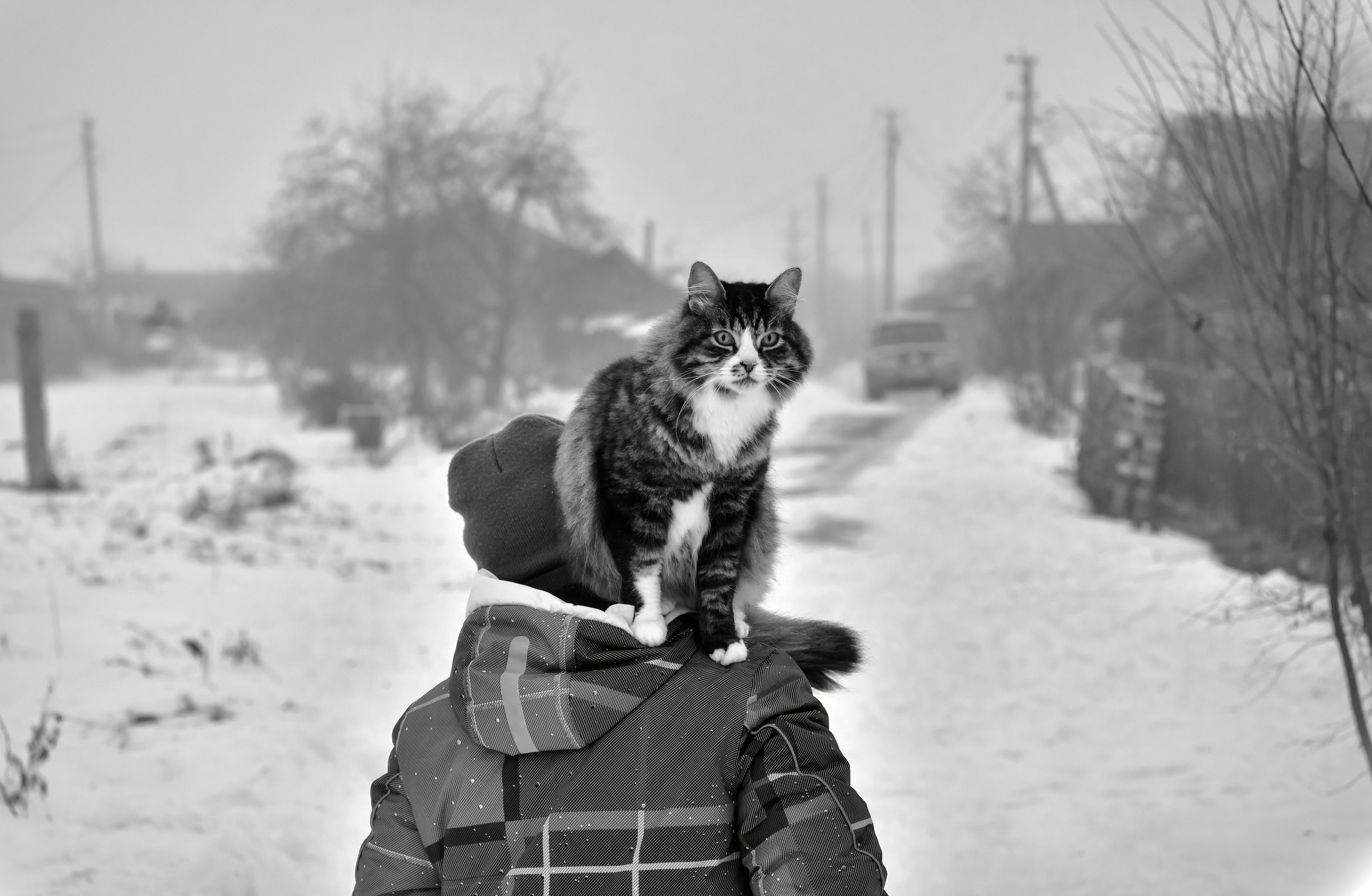 Ч.б. фотографии. Фотографии Лены Соколовой