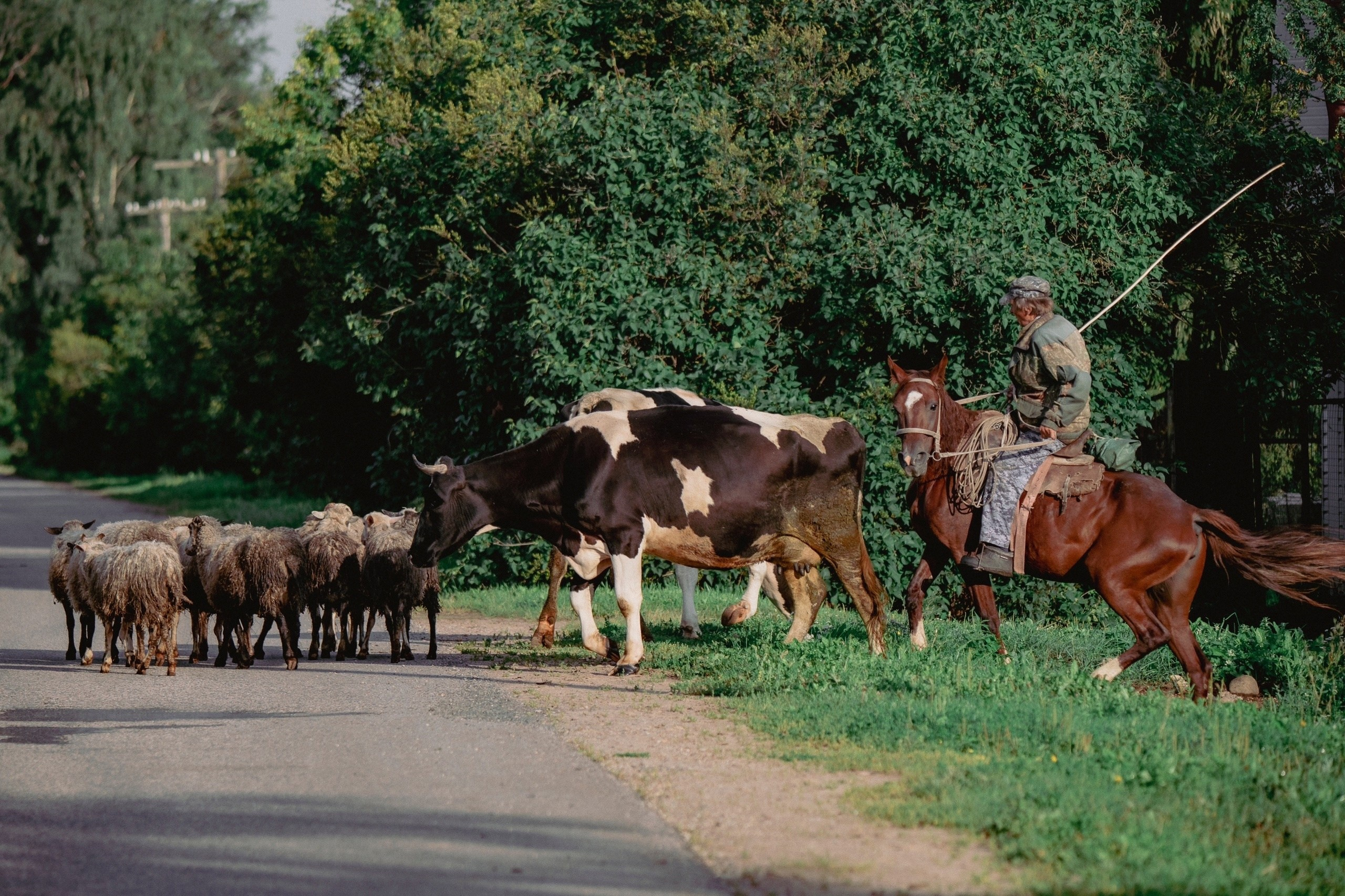 Цветные фотографии. Фотографии Лены Соколовой