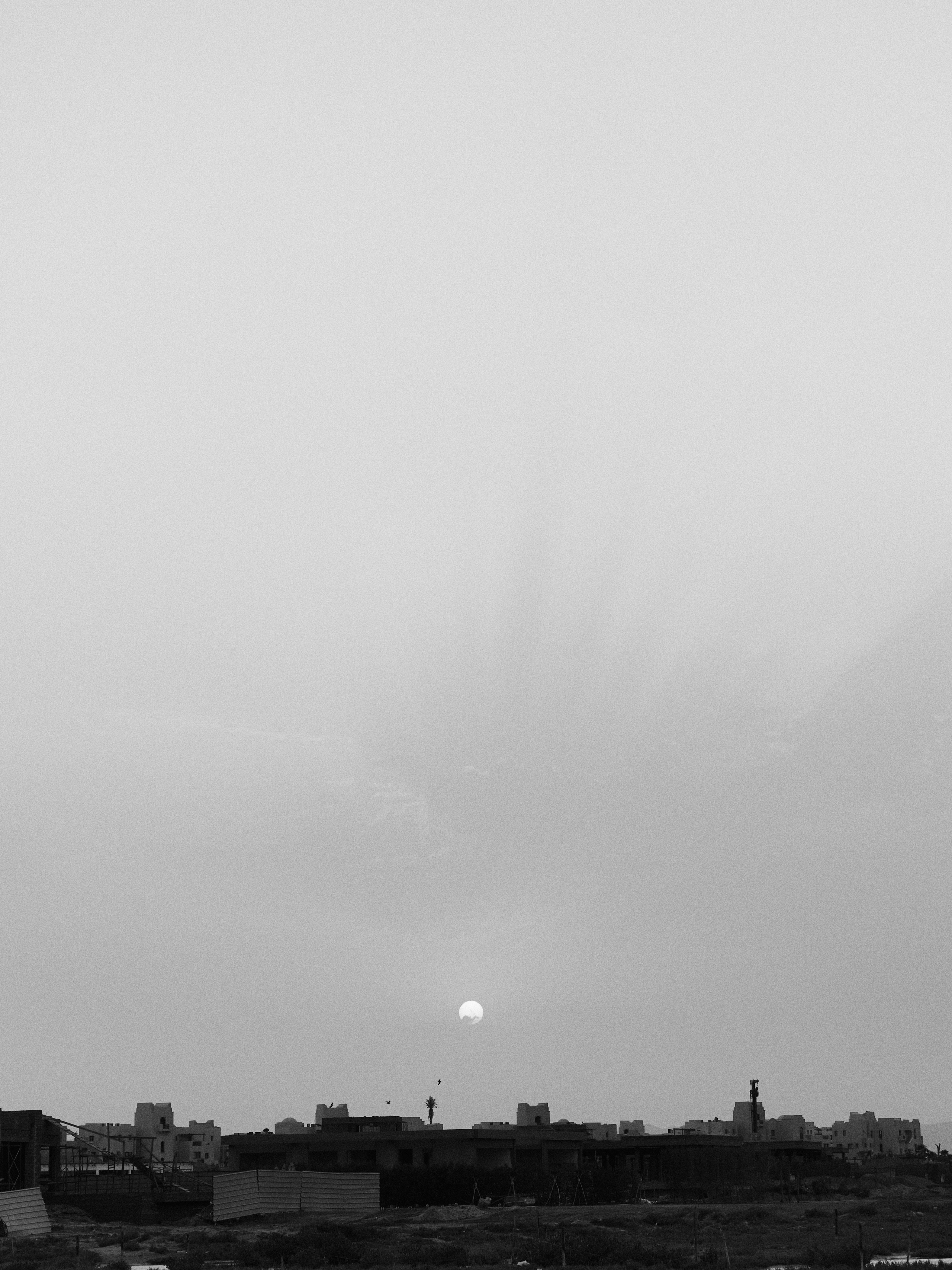 B&W. Jorgis — фотограф в Хургаде / обучение фотографии