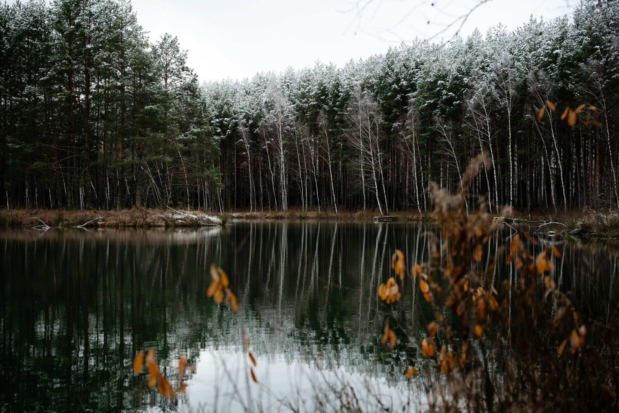 Суворовские карьеры. Vlad Trykov