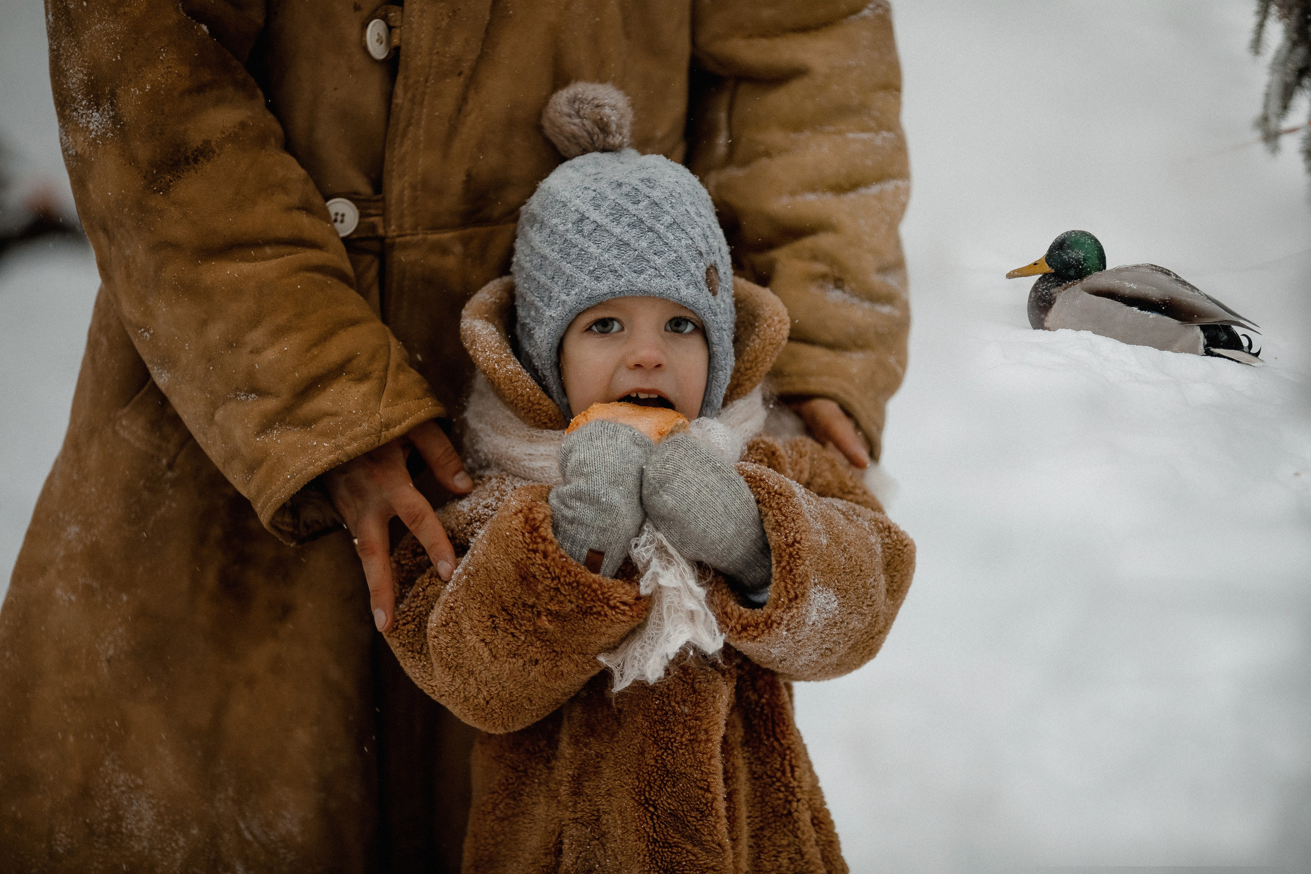 СЕМЕЙНЫЕ фотосессии. Фотограф материнства и таинства кормления Екатерина Кузьмин