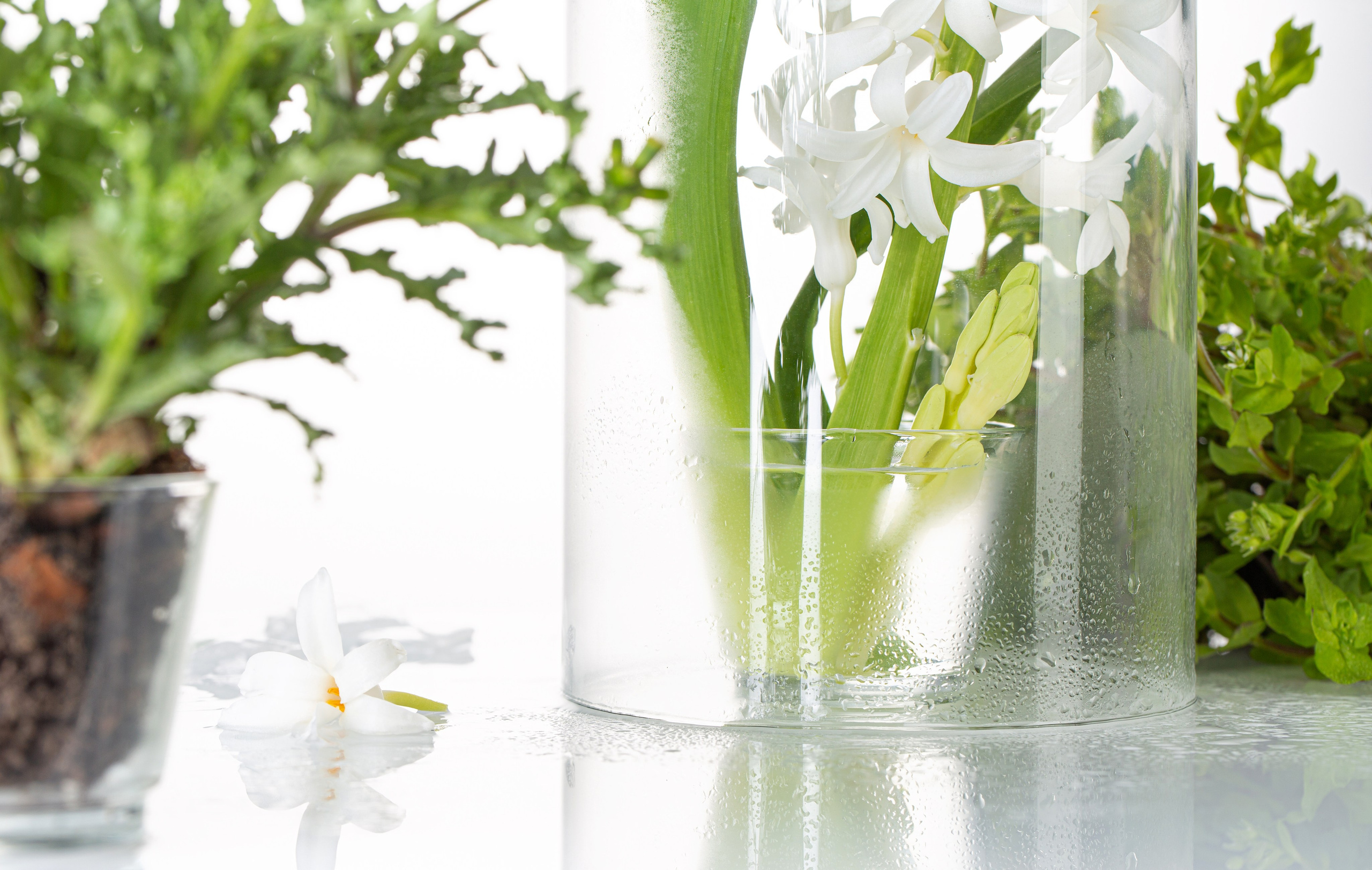 Натюрморт. Предметный и рекламный фотограф в Ростове-на-Дону Кристина Орлова