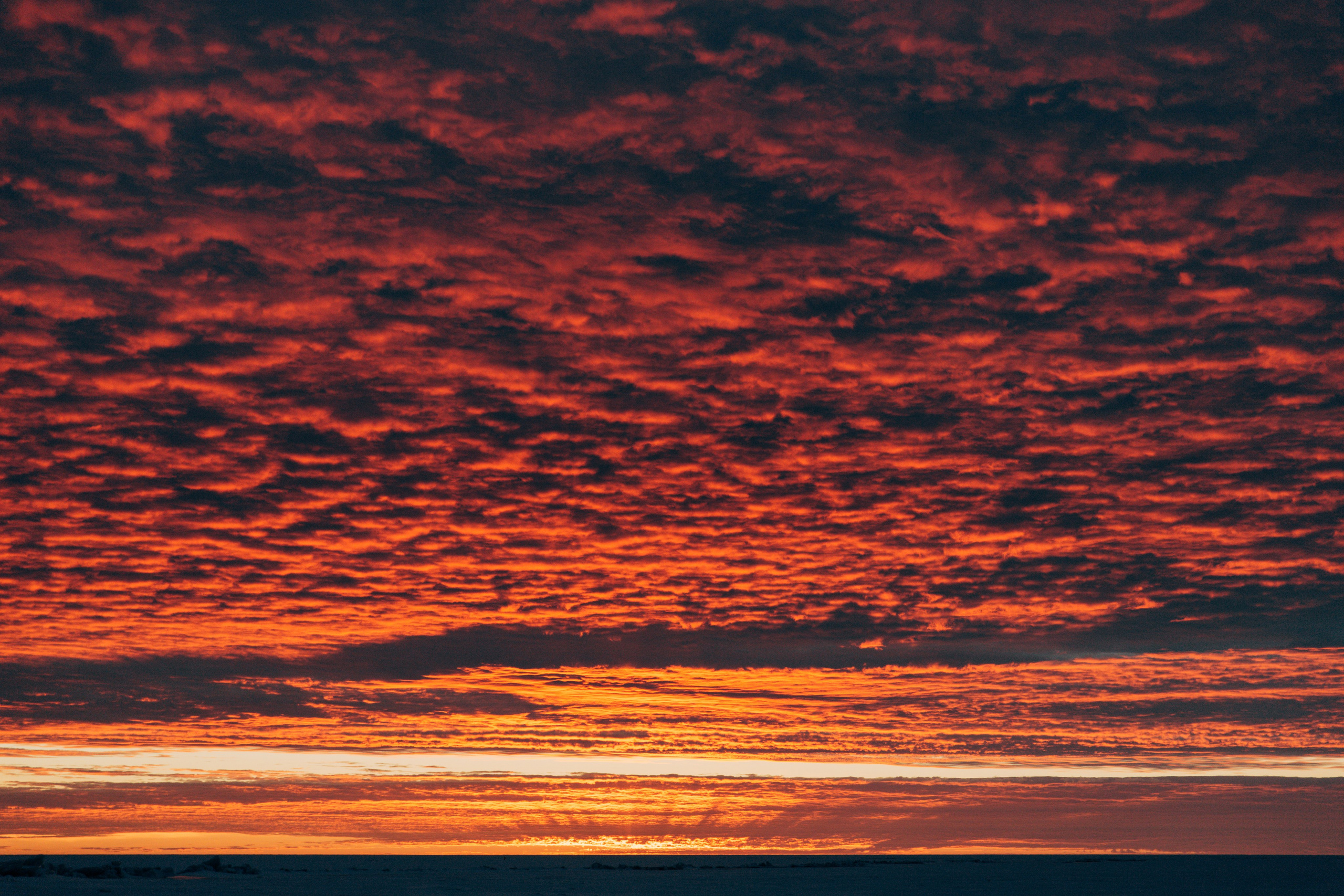 Идеи для фотосессии в СПб: Финский залив на закате (портреты)
