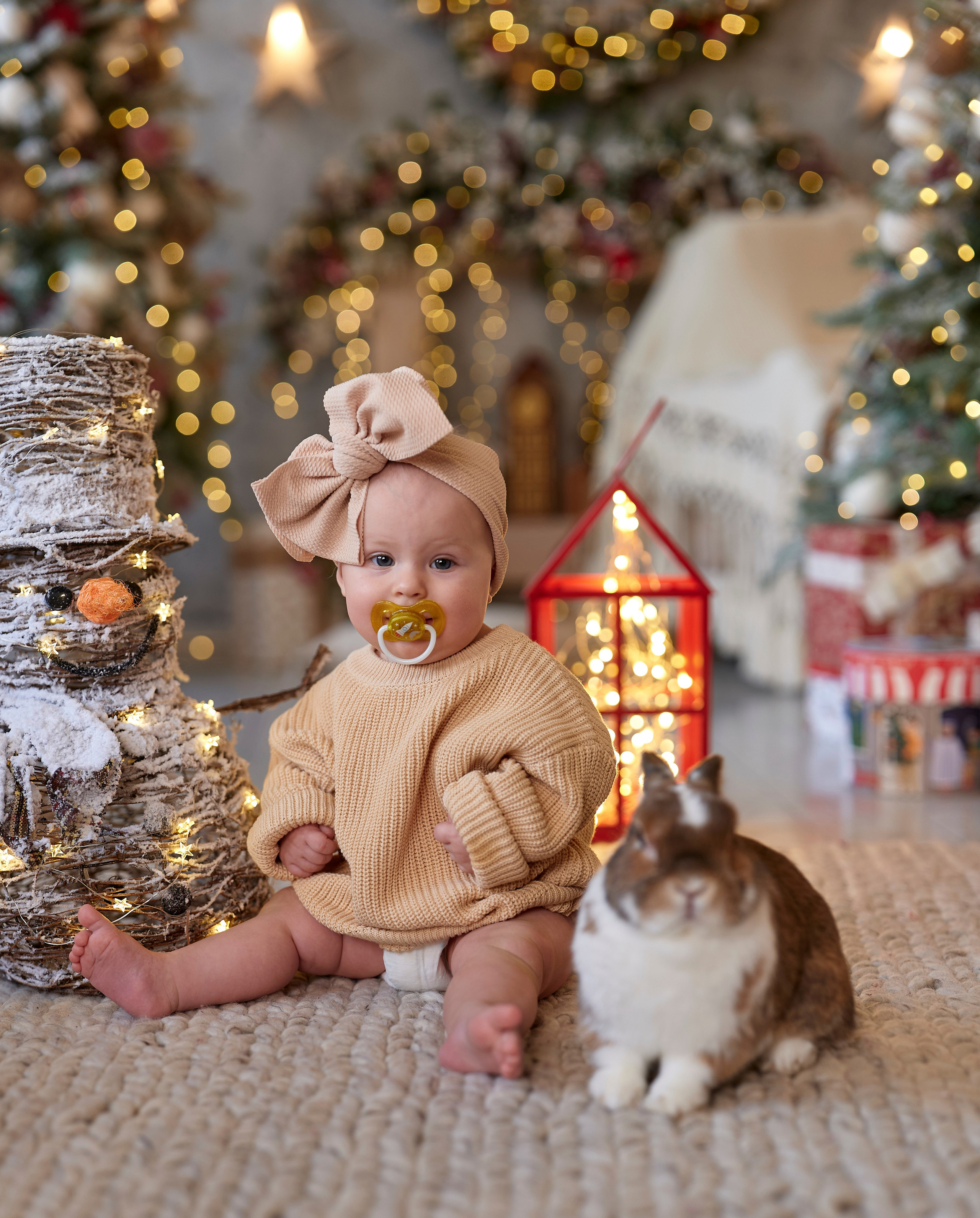 новогодний кролик