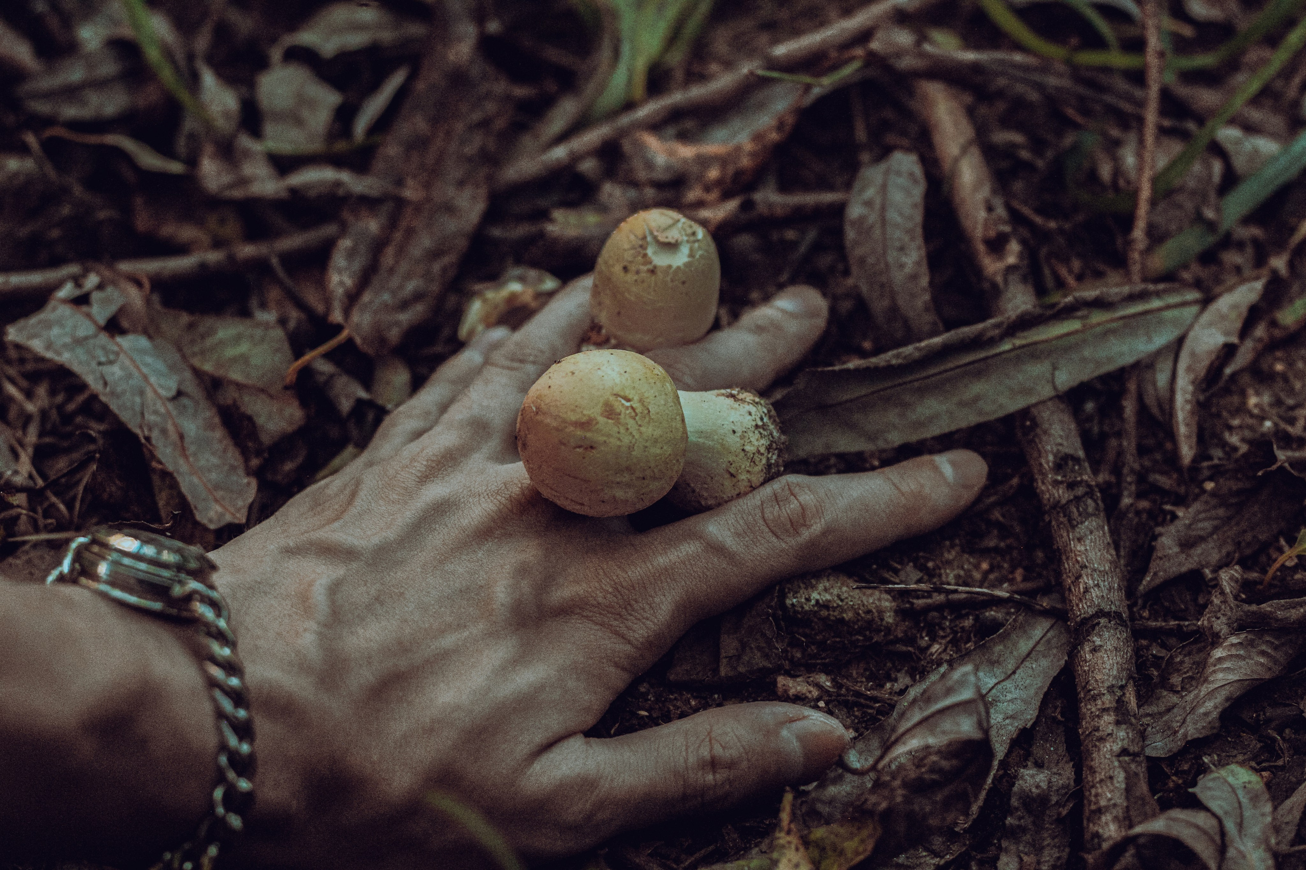 Автопортрет. Фотограф Москва, портрет, стрит, репортаж. Художественная фотосессия