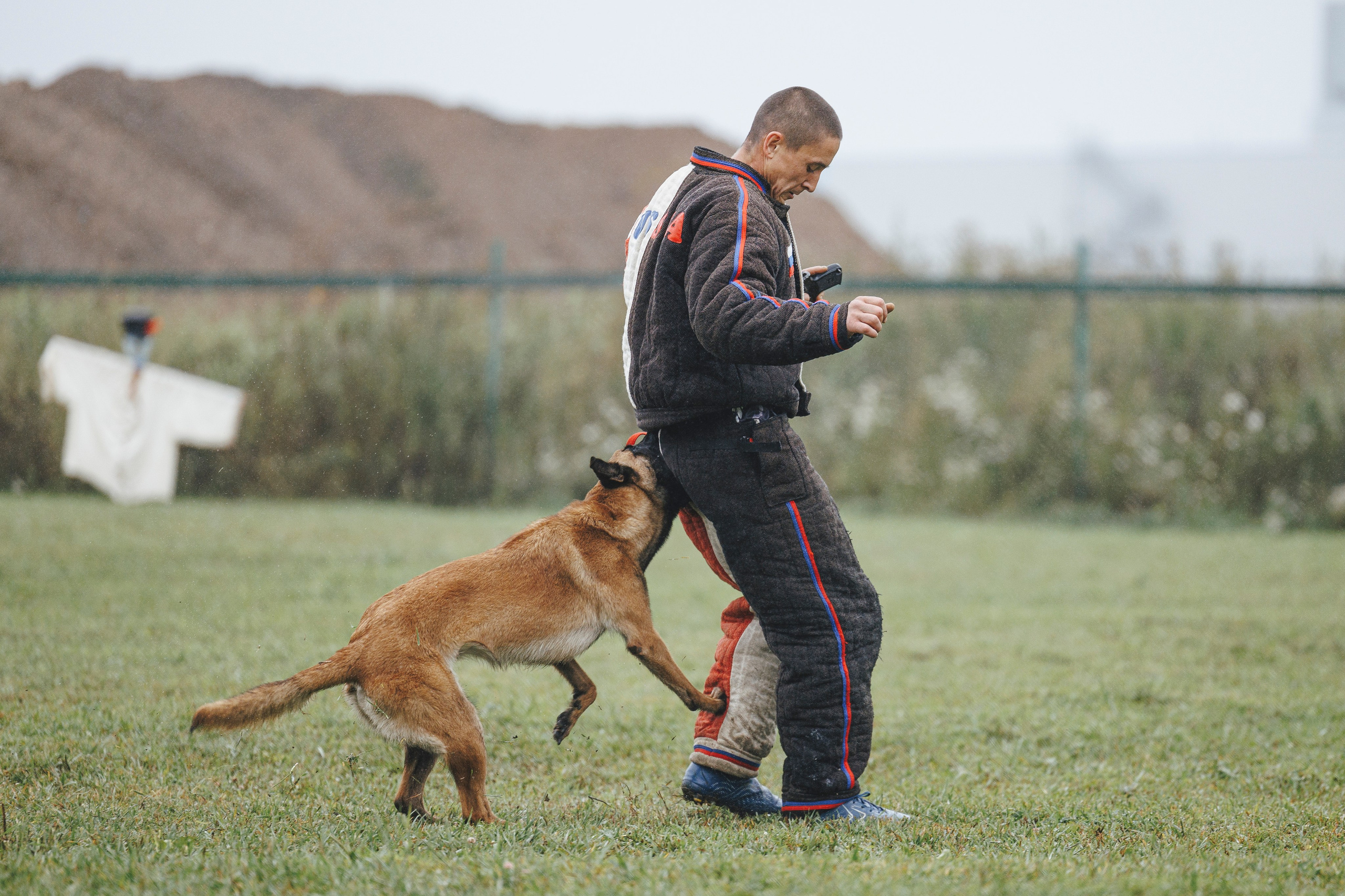 08.08.25-10.08.25 ЧР по мондьорингу г. Вологда. Фотограф-анималист Анна Маринич