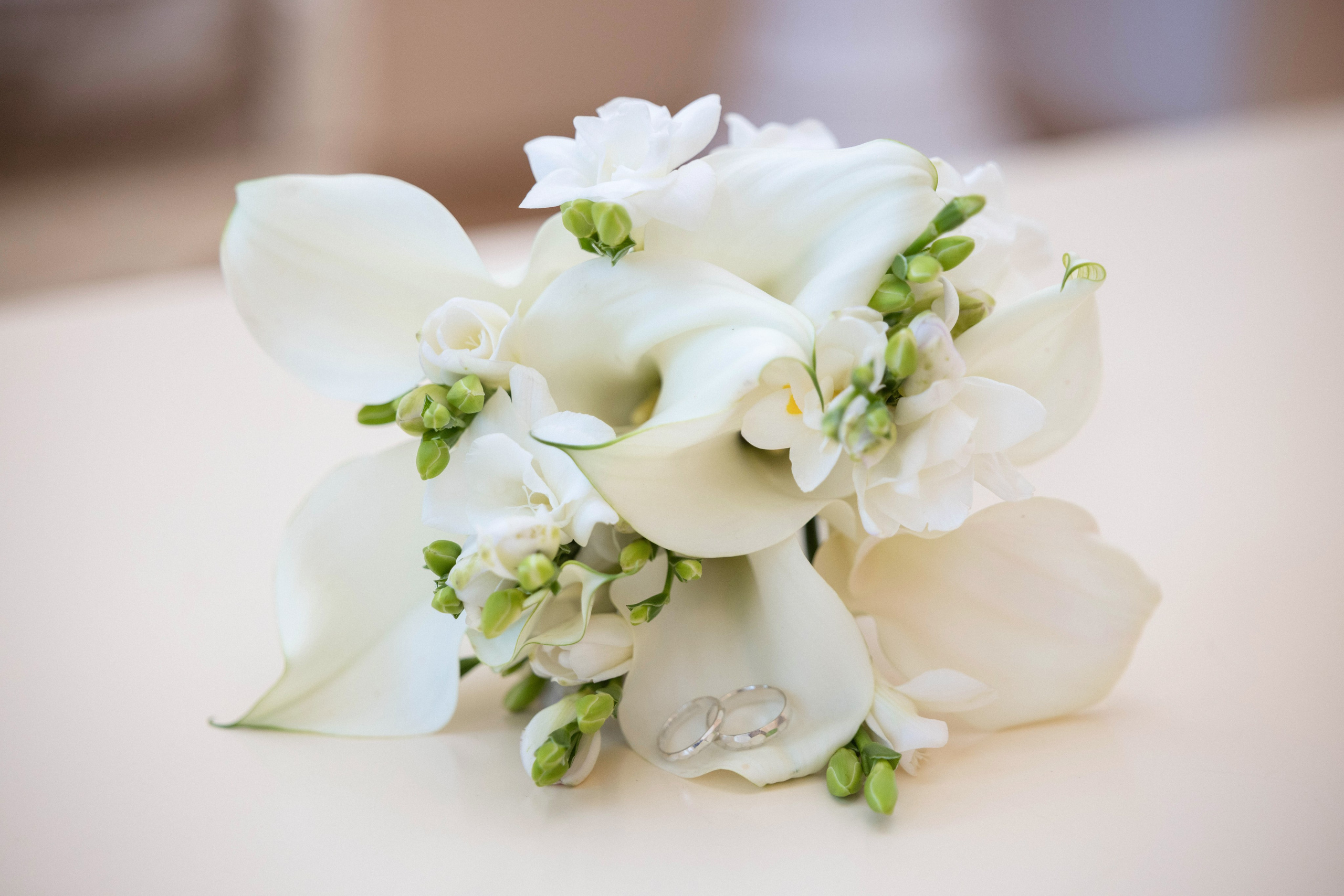 Татьяна и Дмитрий. Свадебный и портретный фотограф