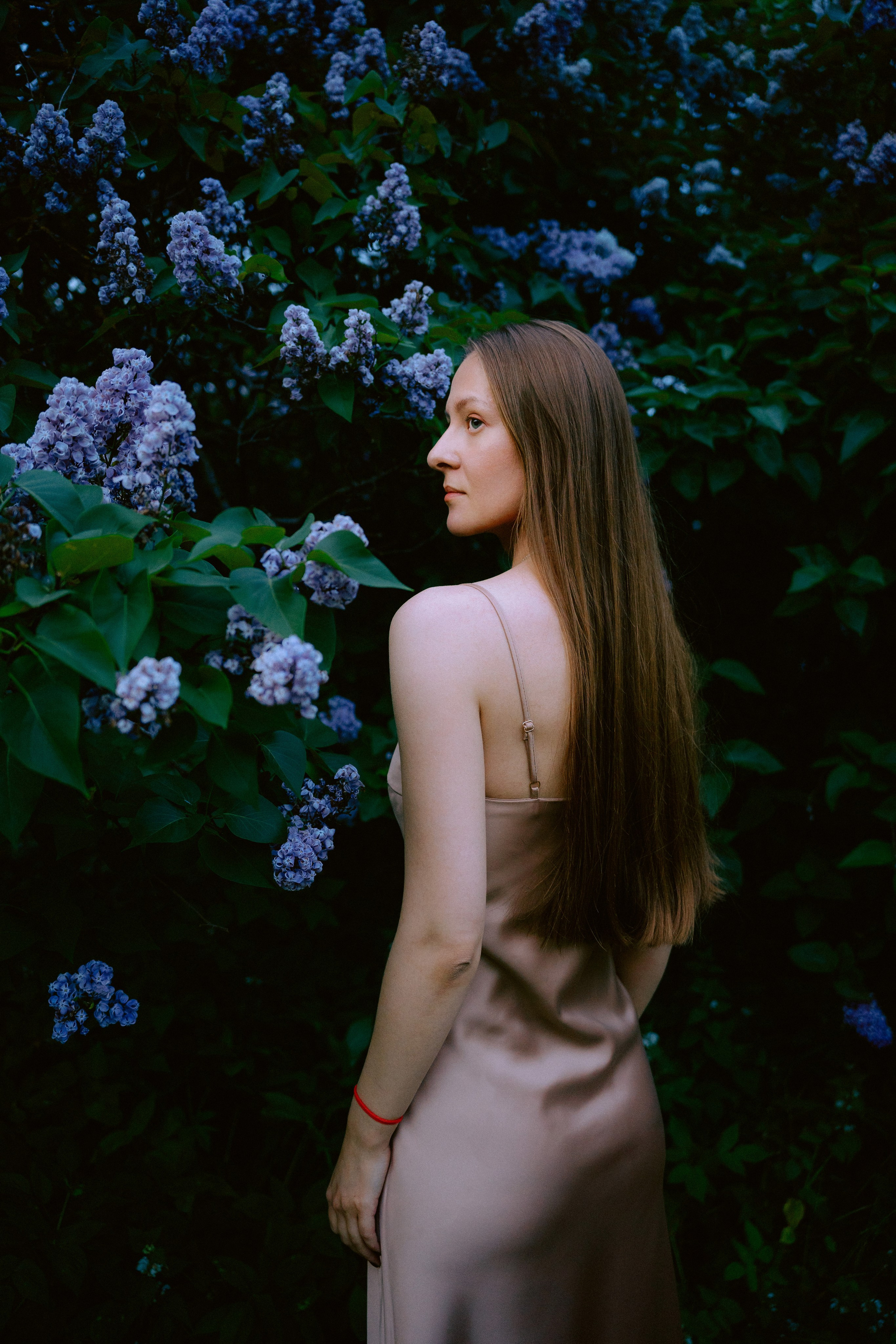 Сиреневый сад. Фотограф Москва