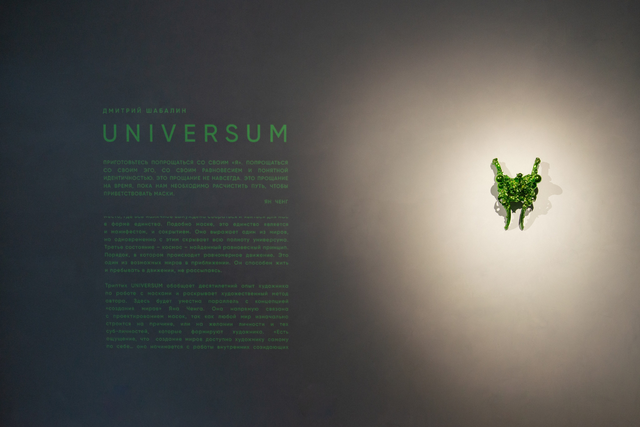 Universum. Anna Zavediy