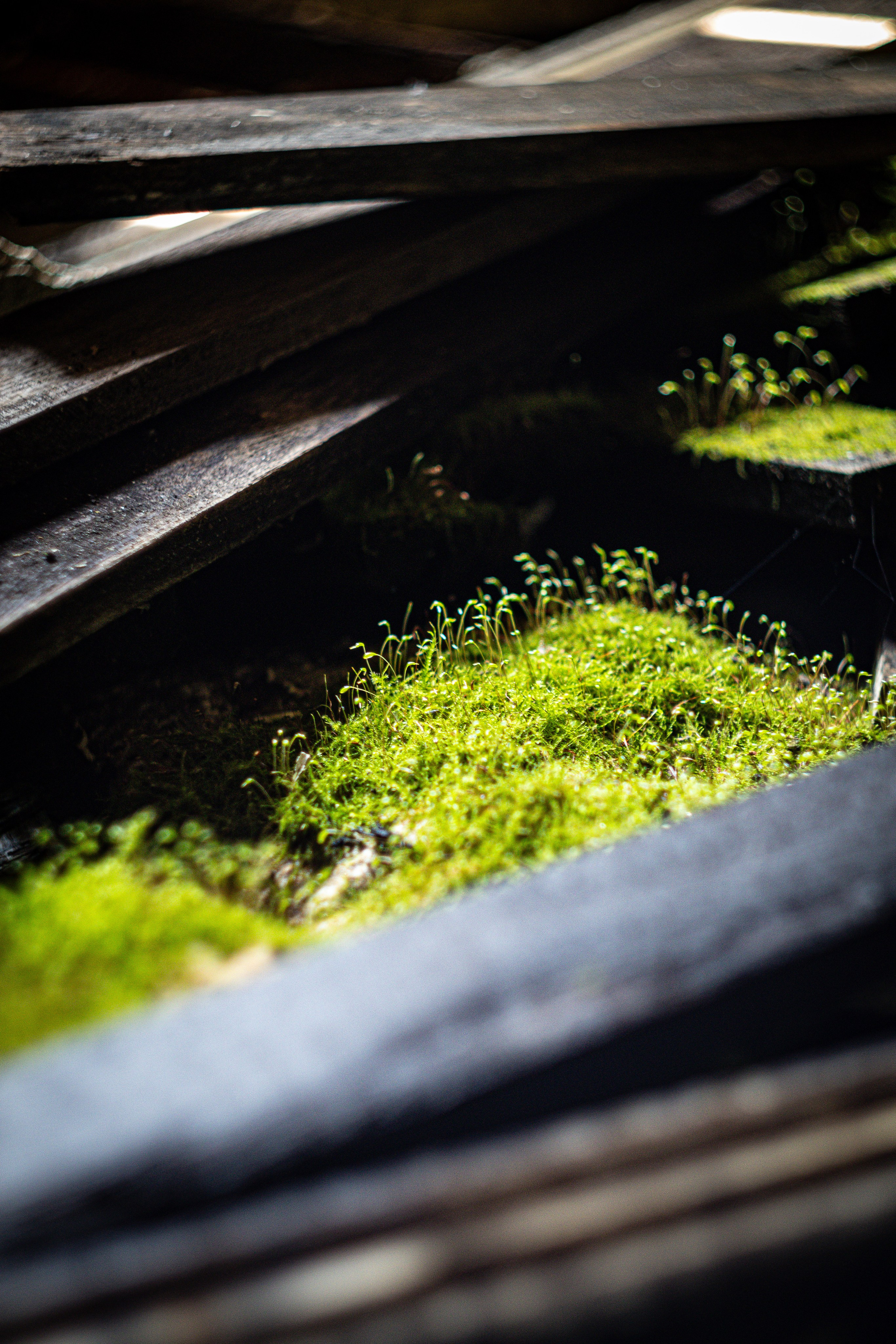 #давайубежим. Фотограф в Южно-Сахалинске Гусаков Евгений